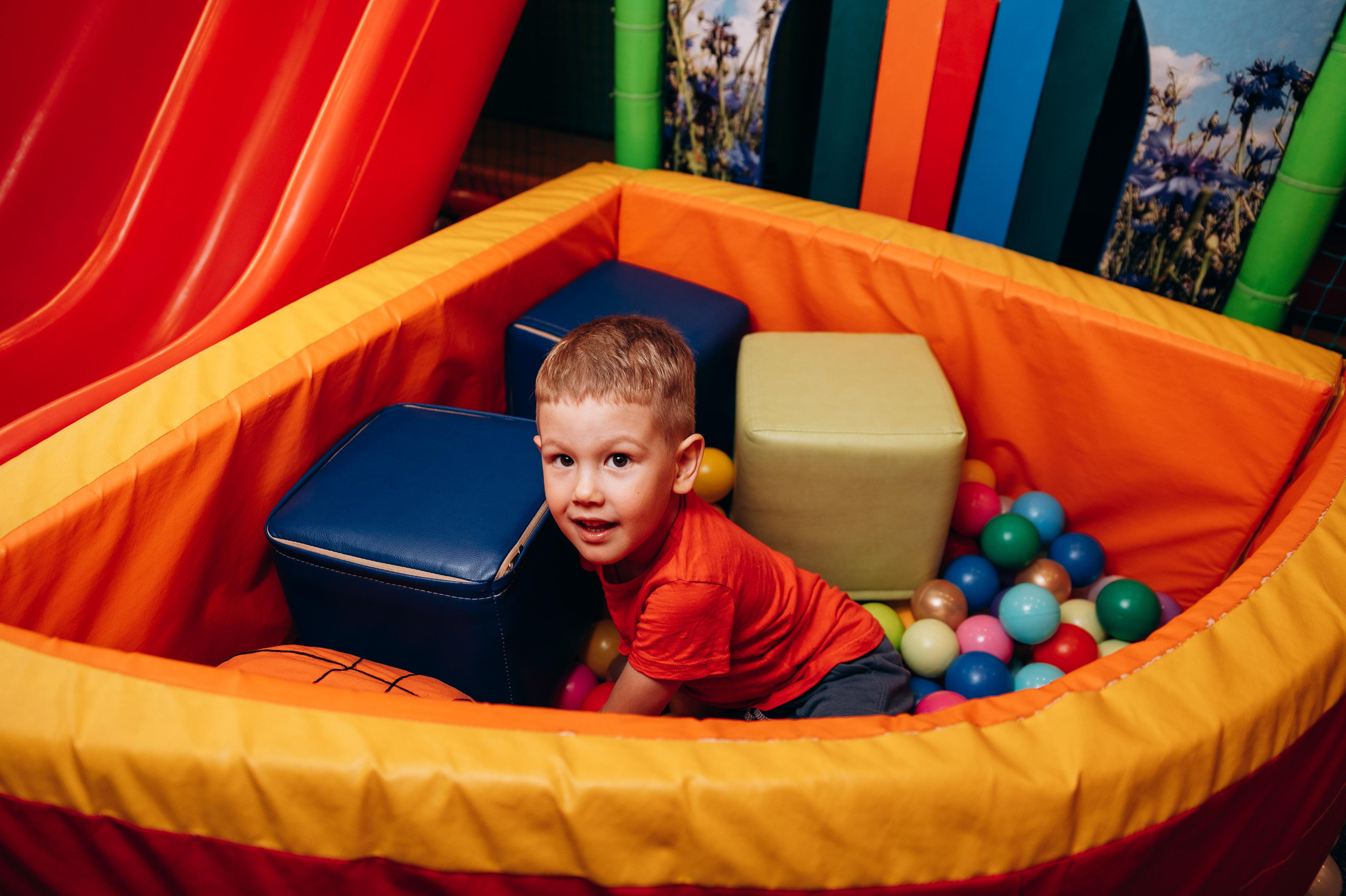 День рождения. Василёк. Фотограф в Новосибирске