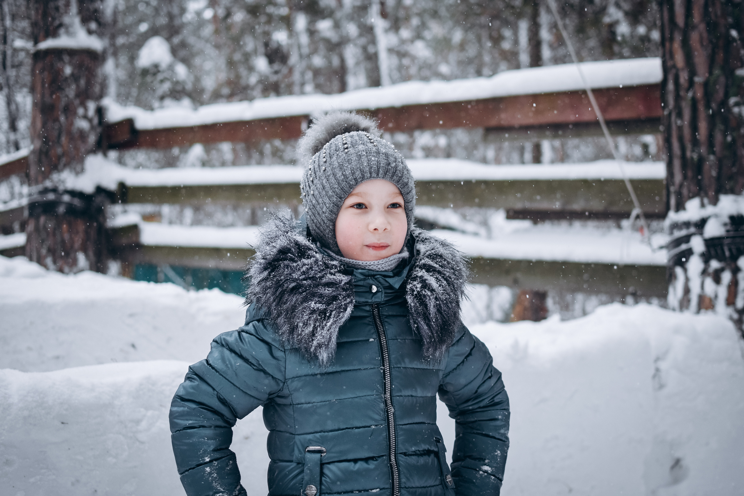 Новый год в лесу. Фотограф в Новосибирске