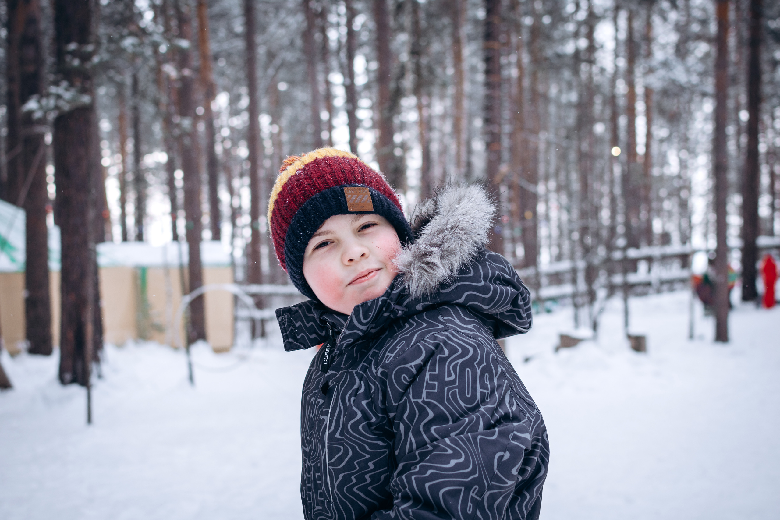 Новый год в лесу. Фотограф в Новосибирске