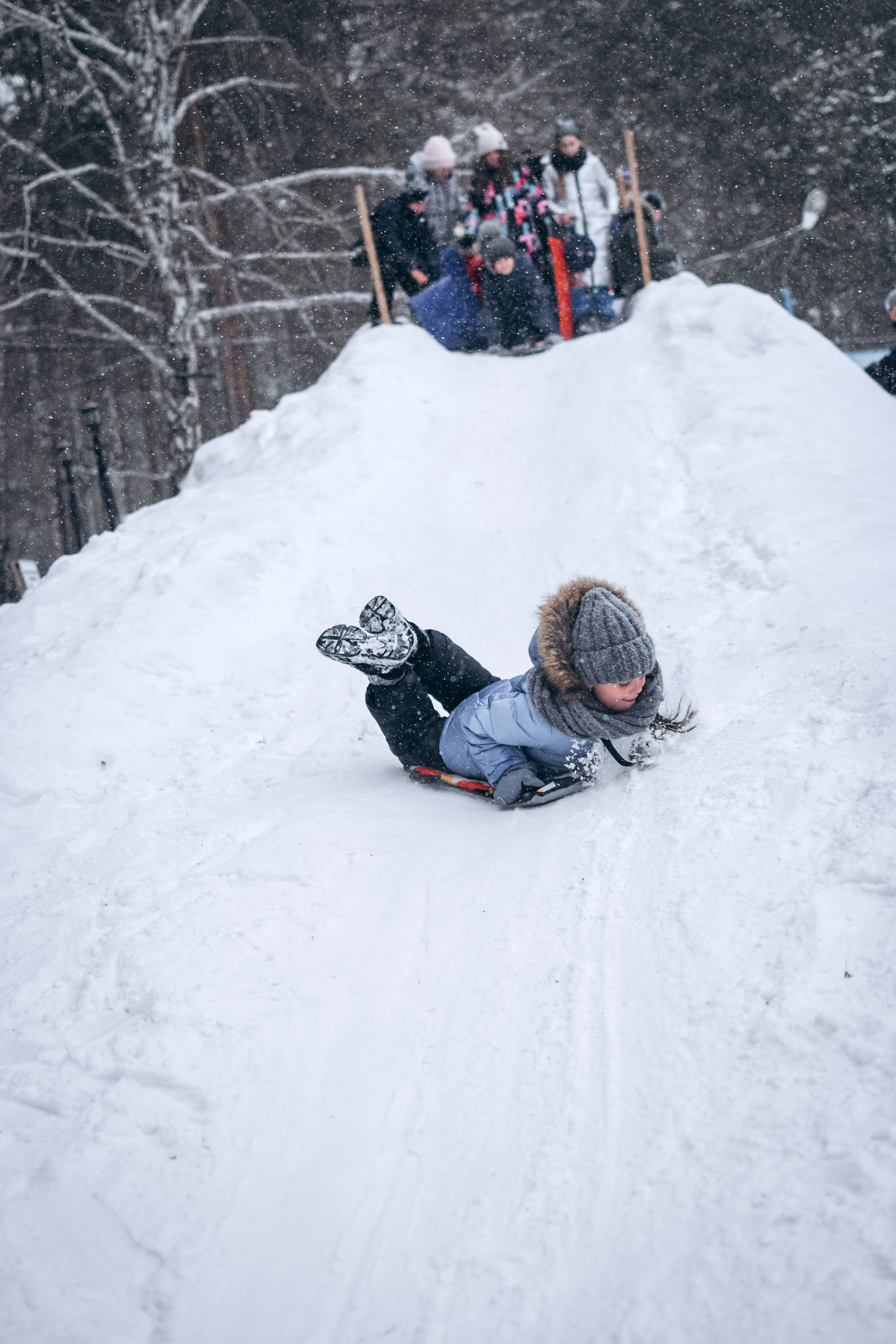 Новый год в лесу. Фотограф в Новосибирске