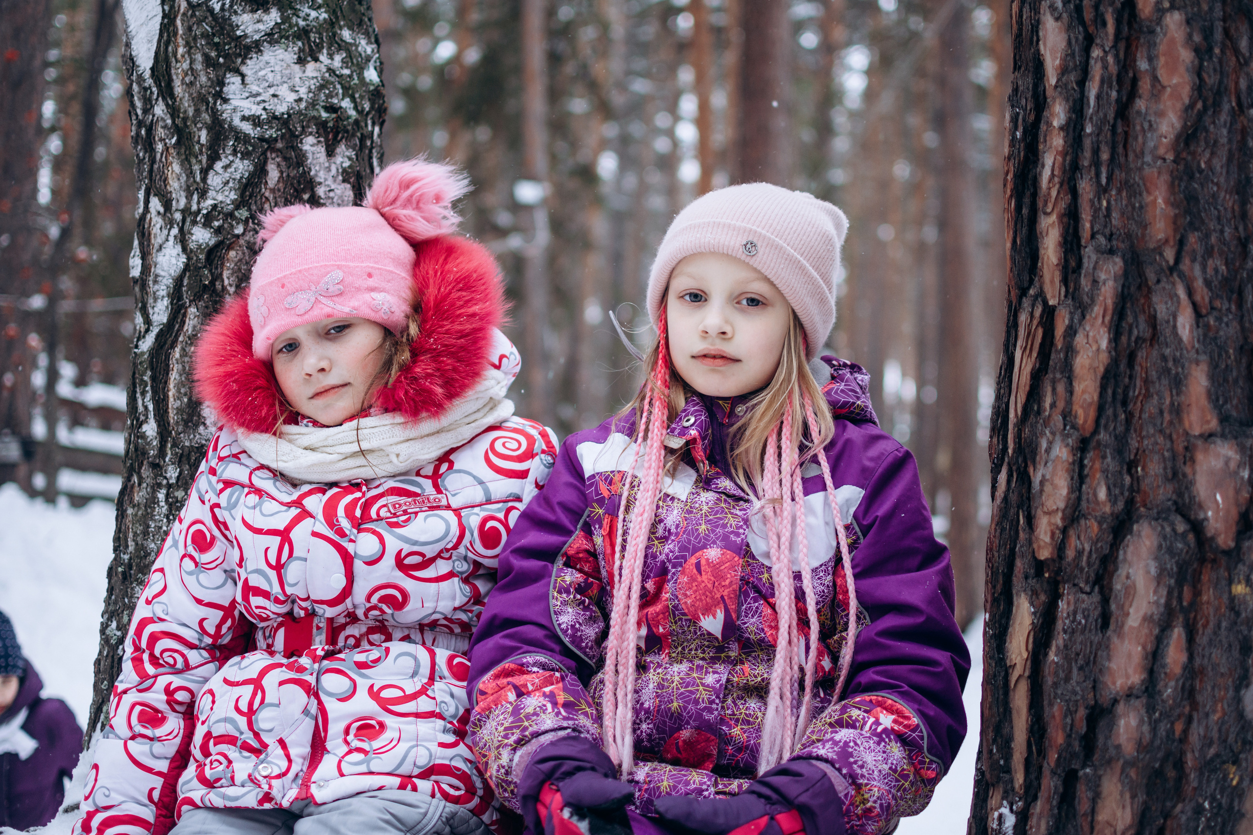 Новый год в лесу. Фотограф в Новосибирске