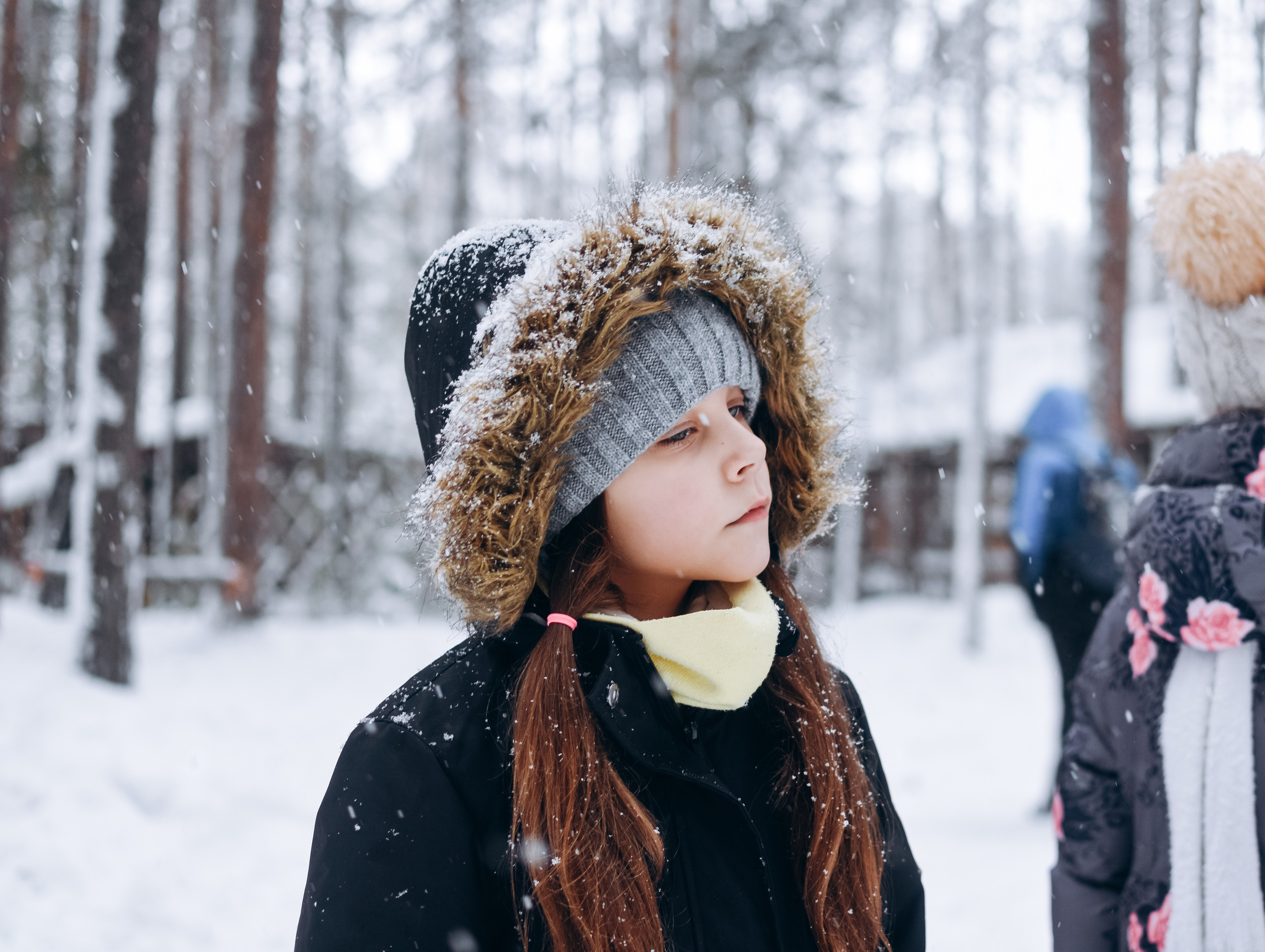 Новый год в лесу. Фотограф в Новосибирске