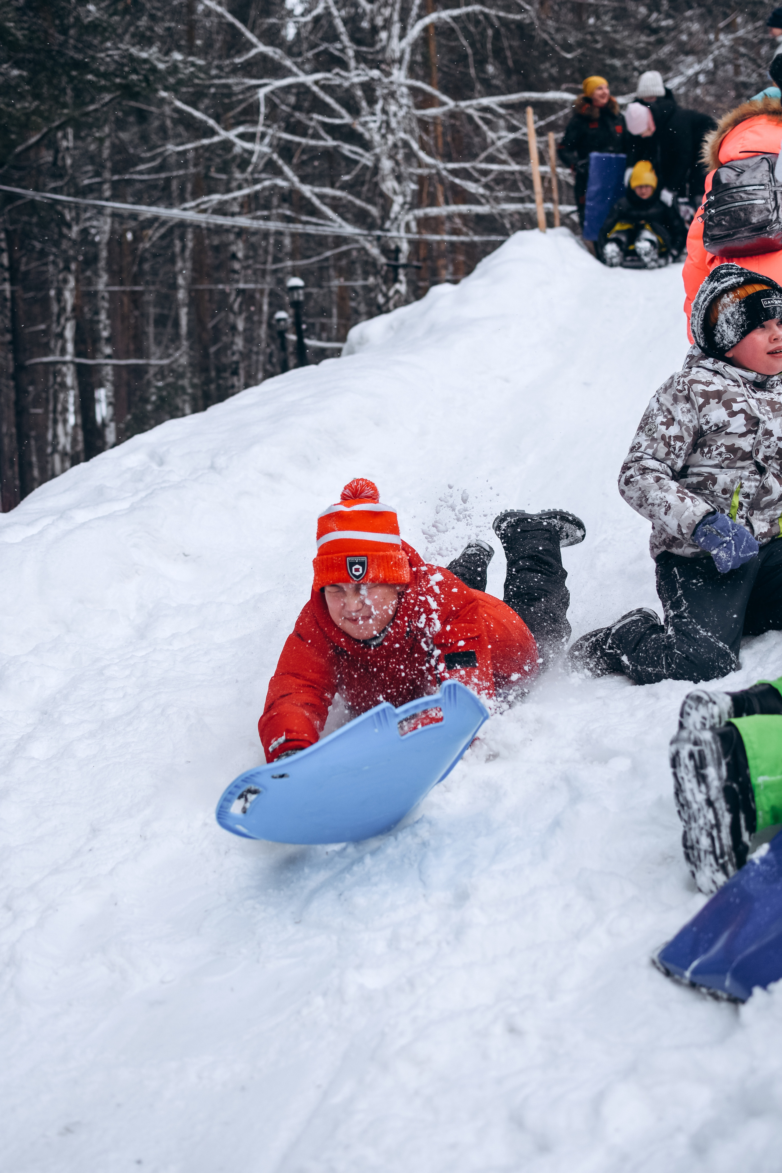 Новый год в лесу. Фотограф в Новосибирске