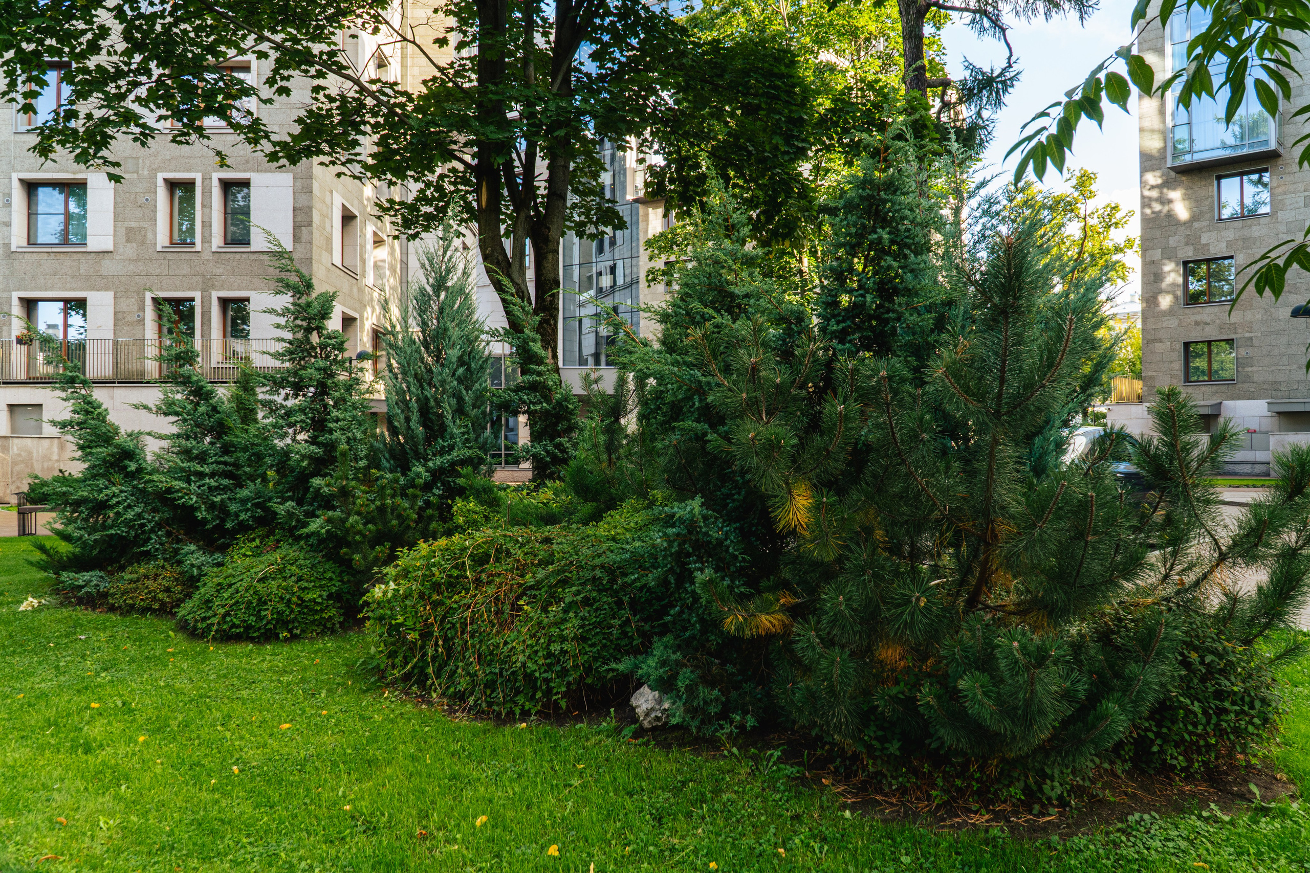 ЖК Смольный парк