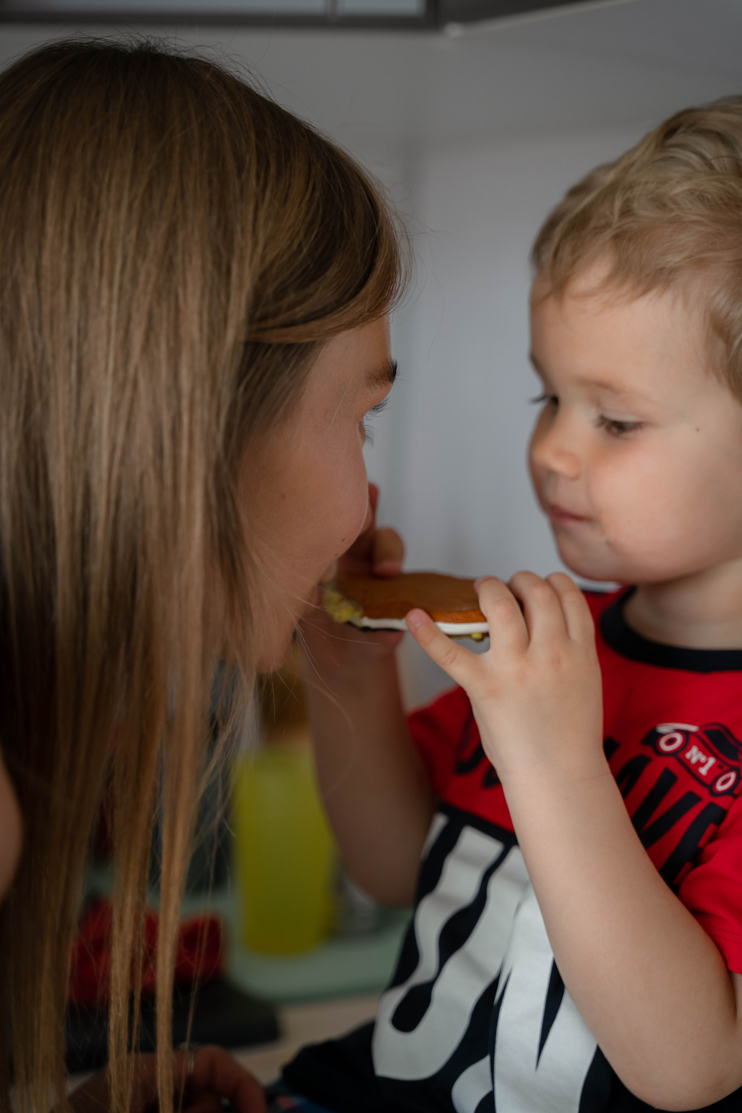 Детский День Рождения дома. ALISON FILMS