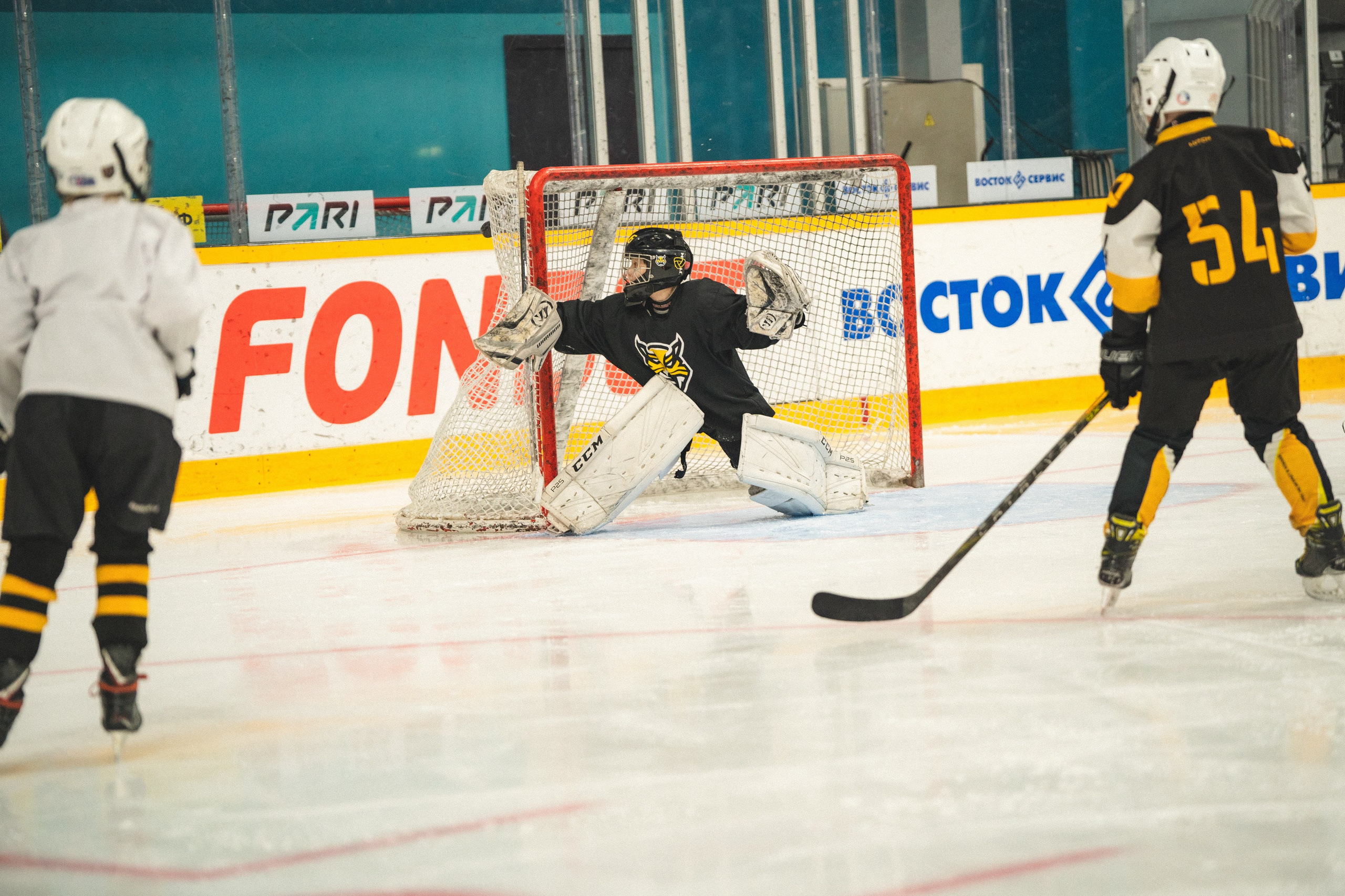 ХК Северсталь (младшая группа). Череповец. Zekons. Фото, видео, нейросети