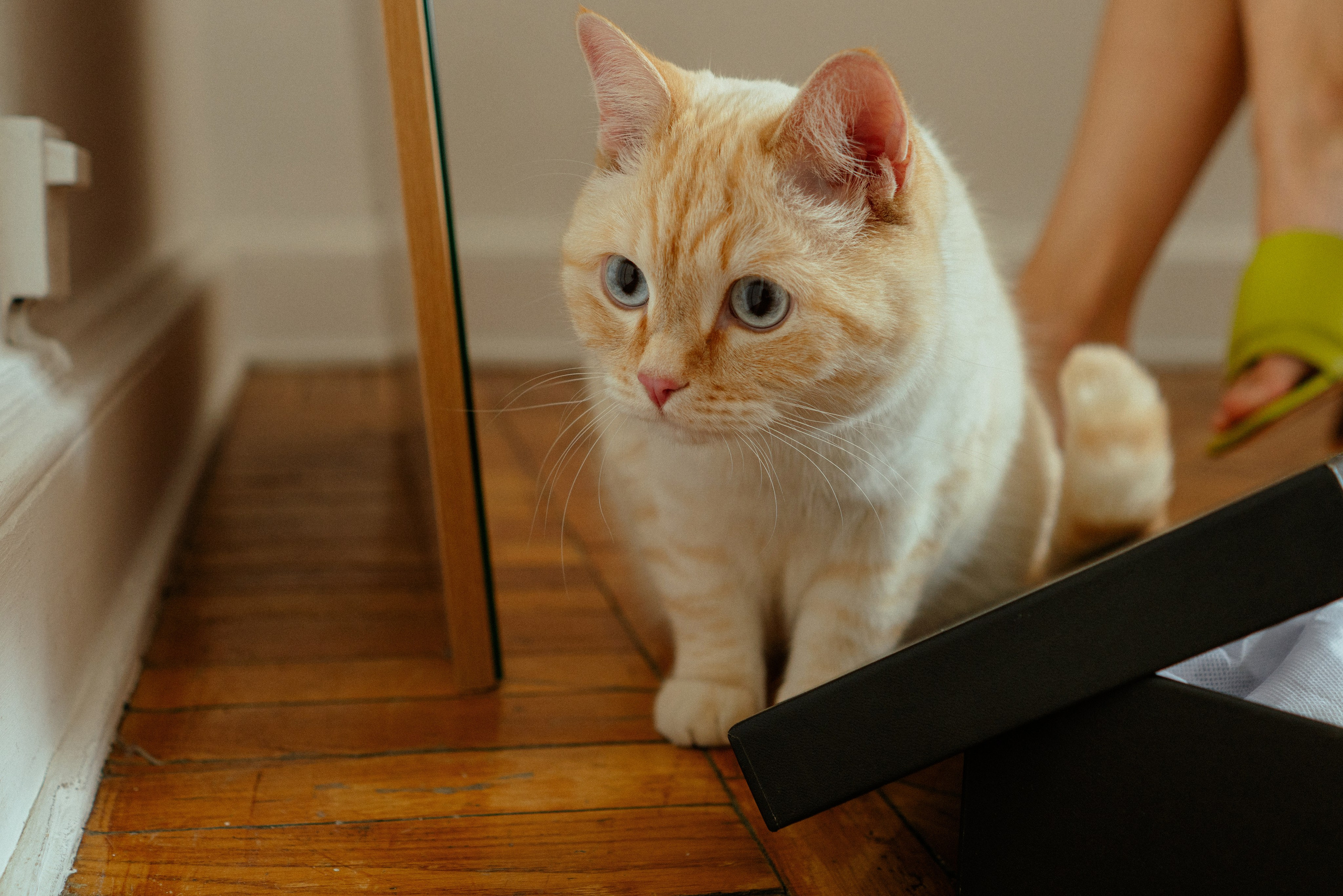 Проект «Я уже выхожу». Женский фотограф в Москве Анастасия Сидорова