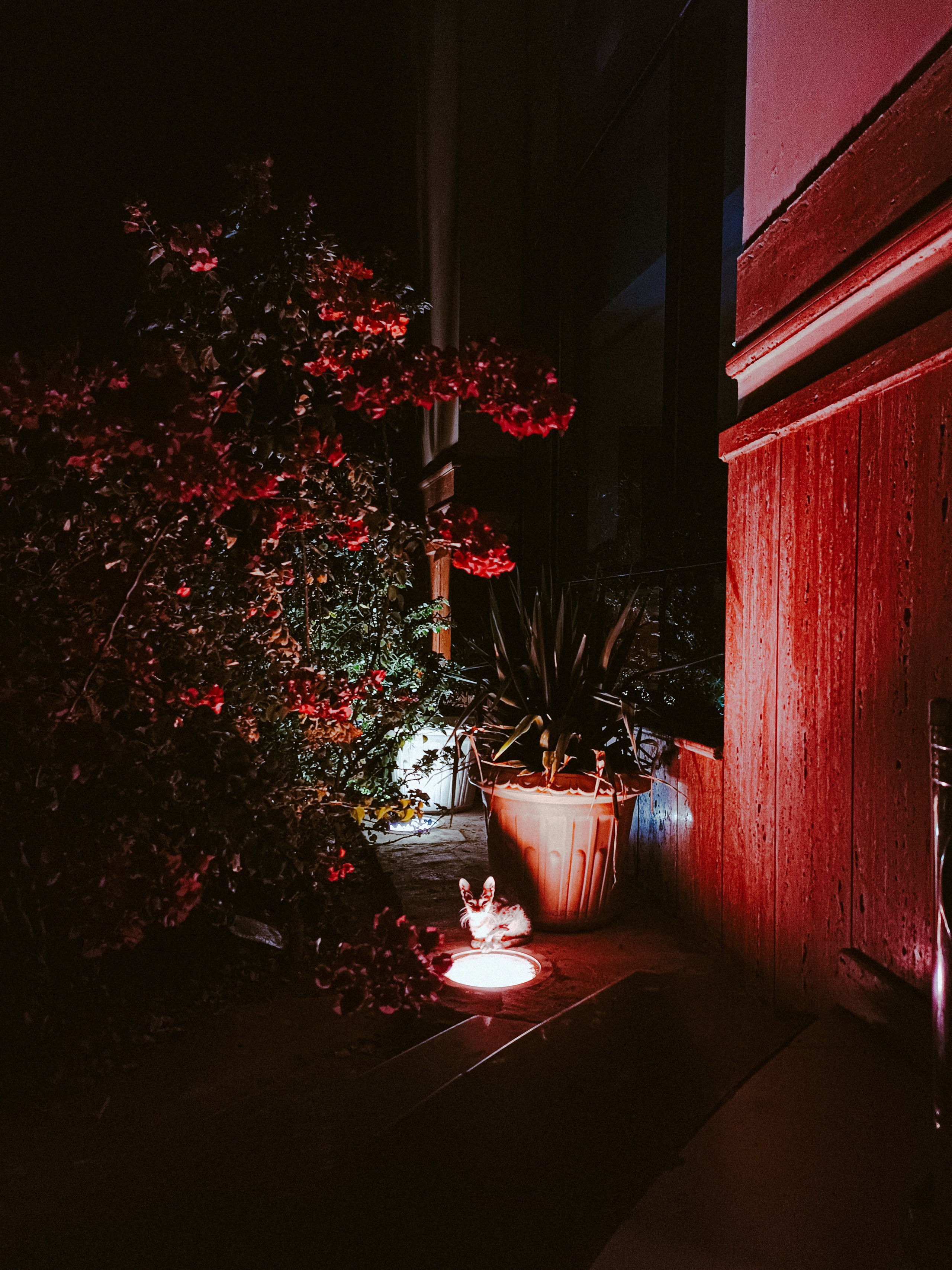 Мобильная. Jorgis — фотограф в Хургаде / обучение фотографии