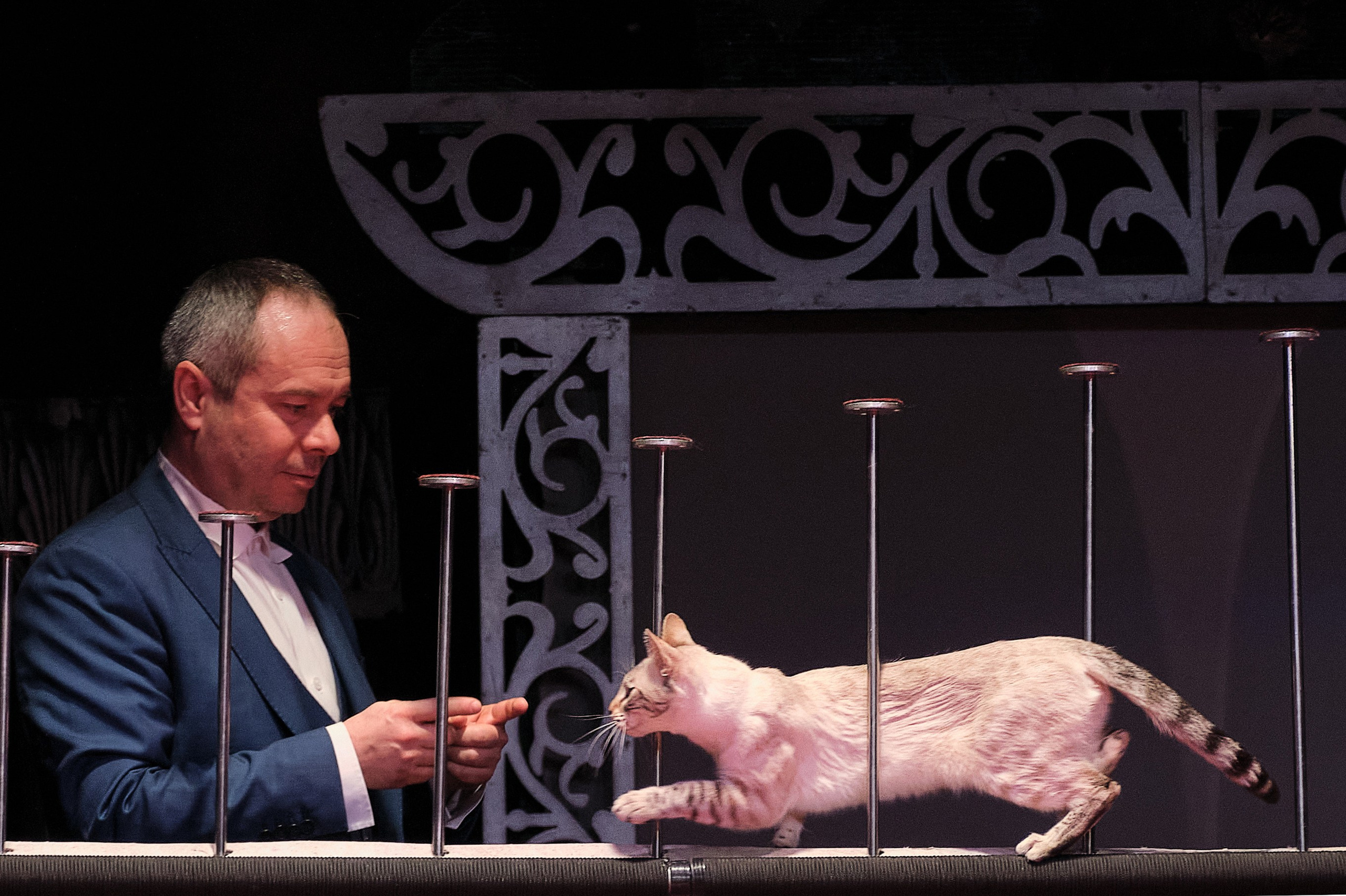 Пресс-конференция Ю.Куклачева в театре кошек