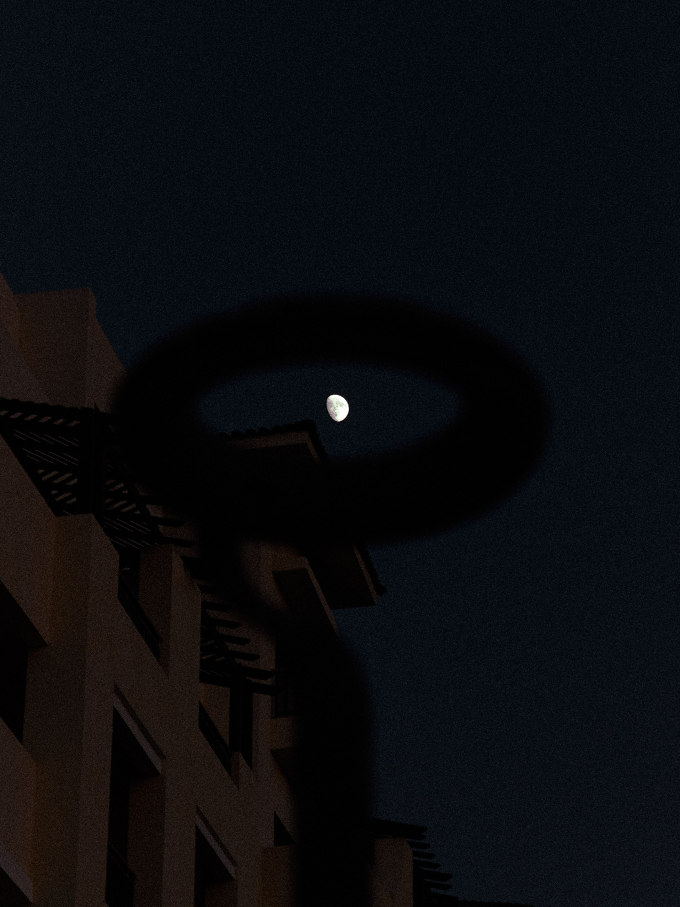 Диптих. Jorgis — фотограф в Хургаде / обучение фотографии