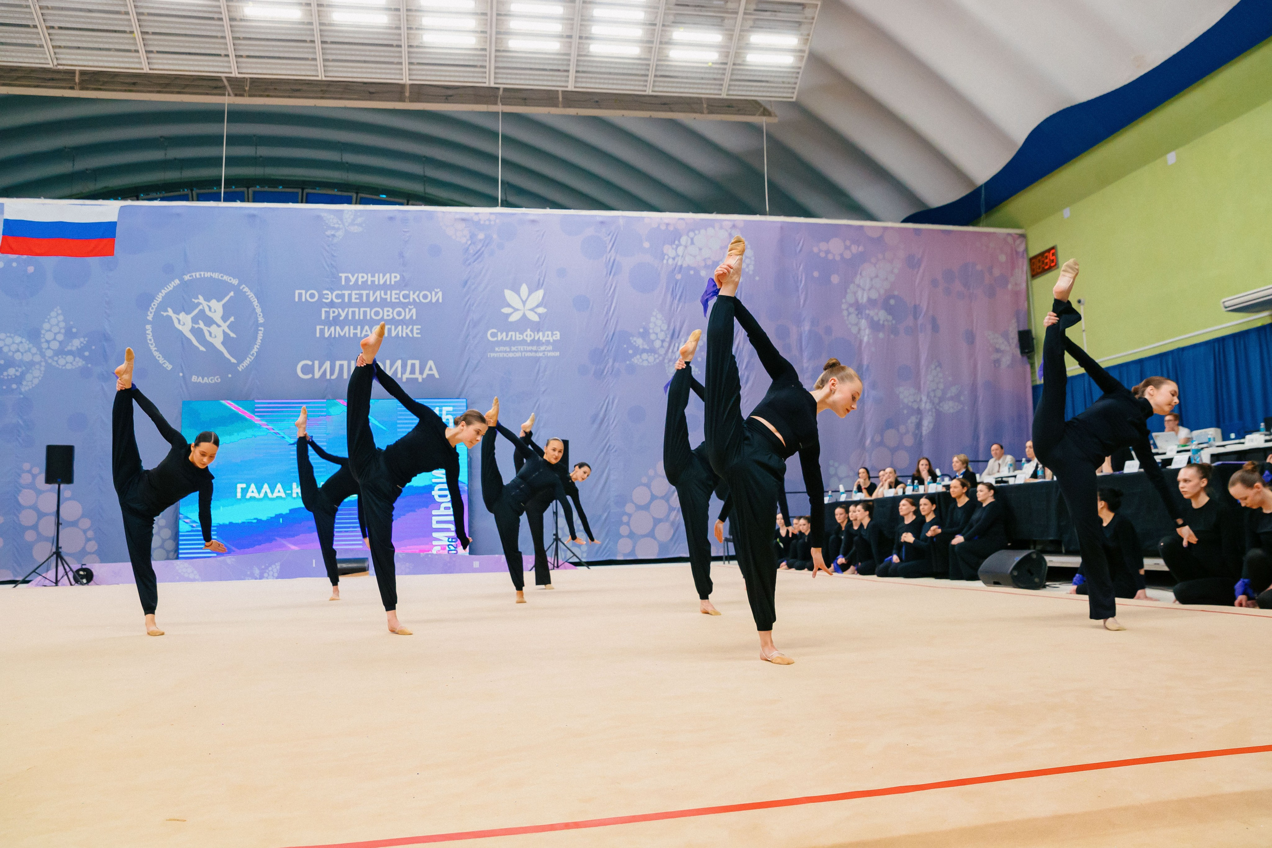 «СИЛЬФИДА 2026». Минск. Спортивный фотограф Александр Васильев