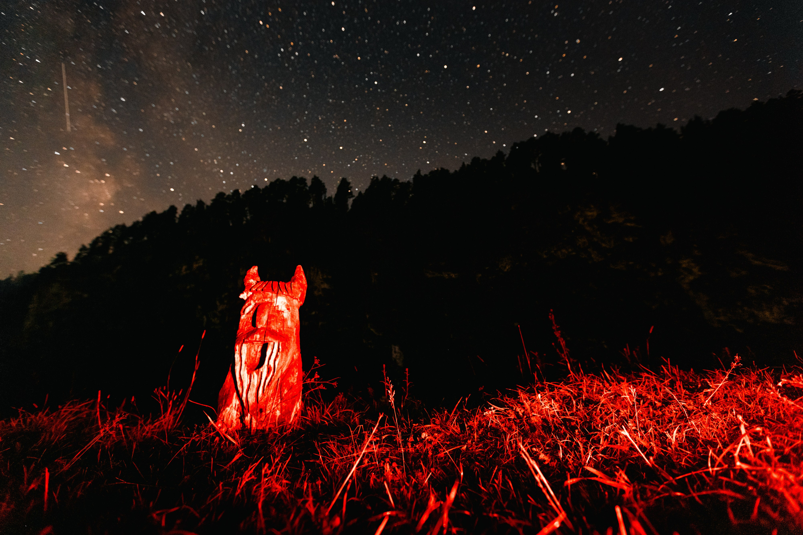 VI ОТКРЫТЫЕ КИНОЛОГИЧЕСКИЕ СОРЕВНОВАНИЯ. ЧЕЛЯБИНСКАЯ ОБЛАСТЬ 2025. Репортажный фотограф Наталья Лапцевич