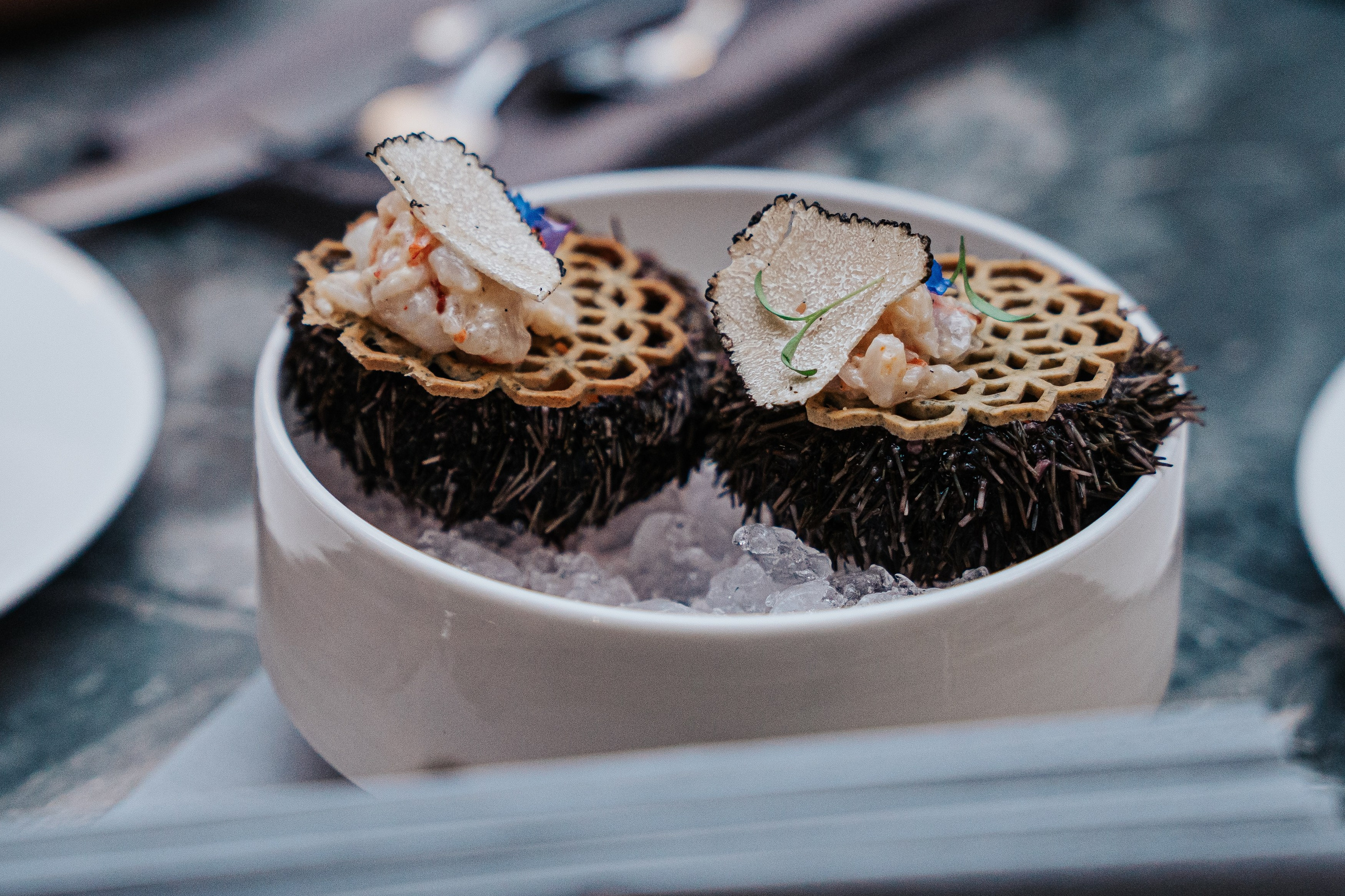 SOPKA. Фотограф Хабаровск