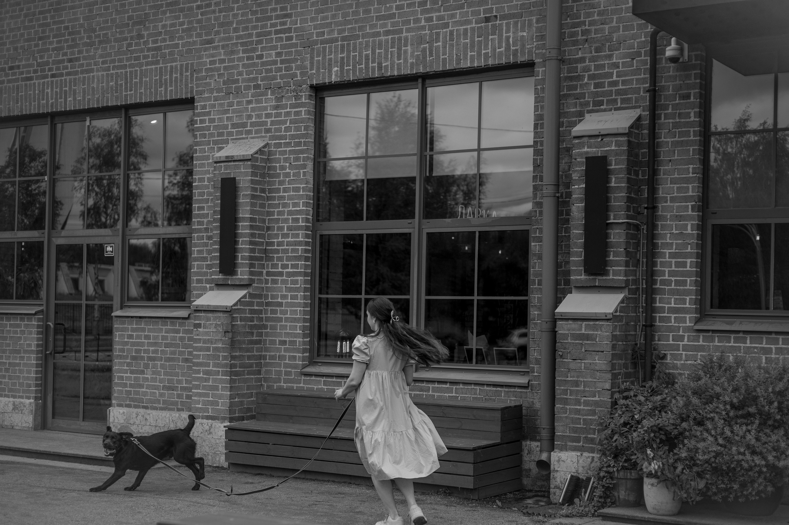 Оля и шоколадный Тимофей. Фотограф — анималист •love-story•|Санкт-Петербург