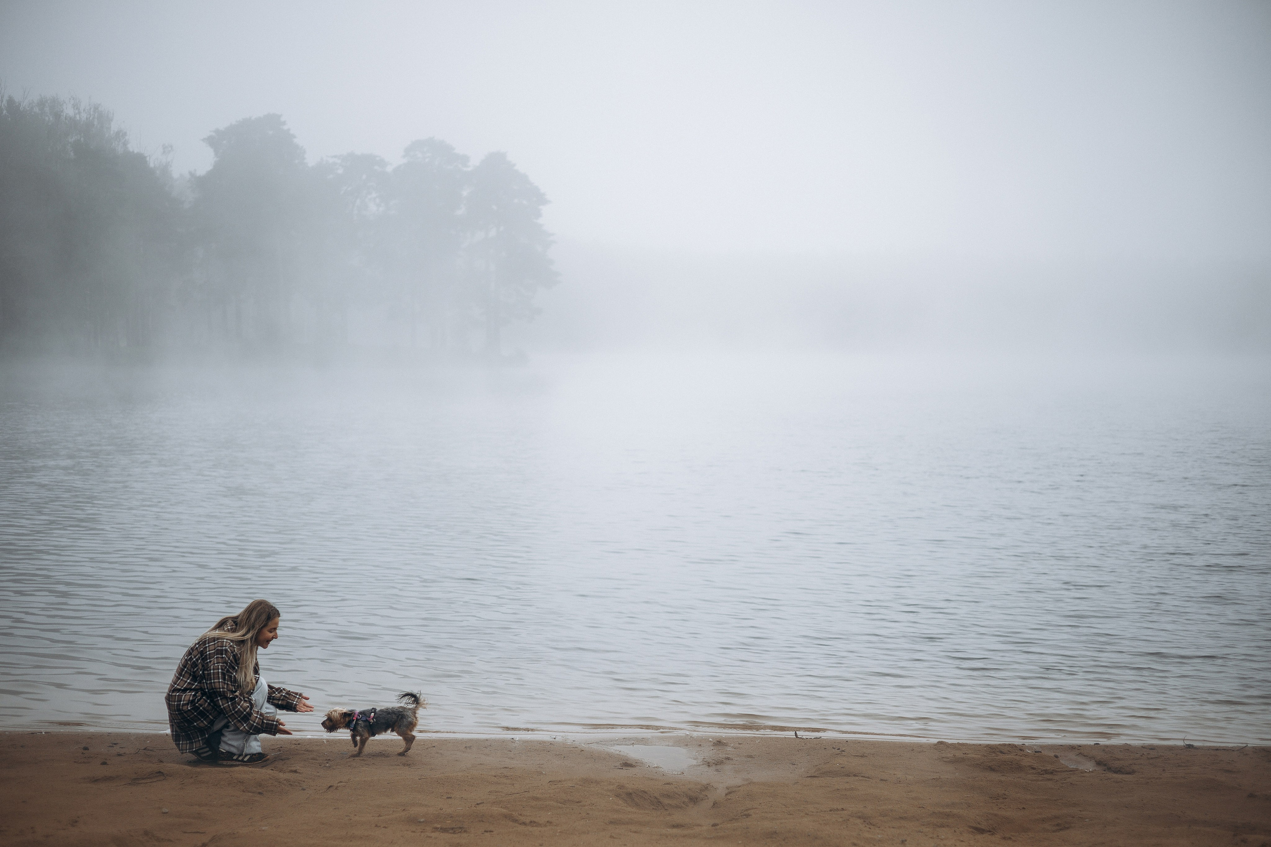 Наташа & Оззи & Йоша. Фотограф — анималист •love-story•|Санкт-Петербург