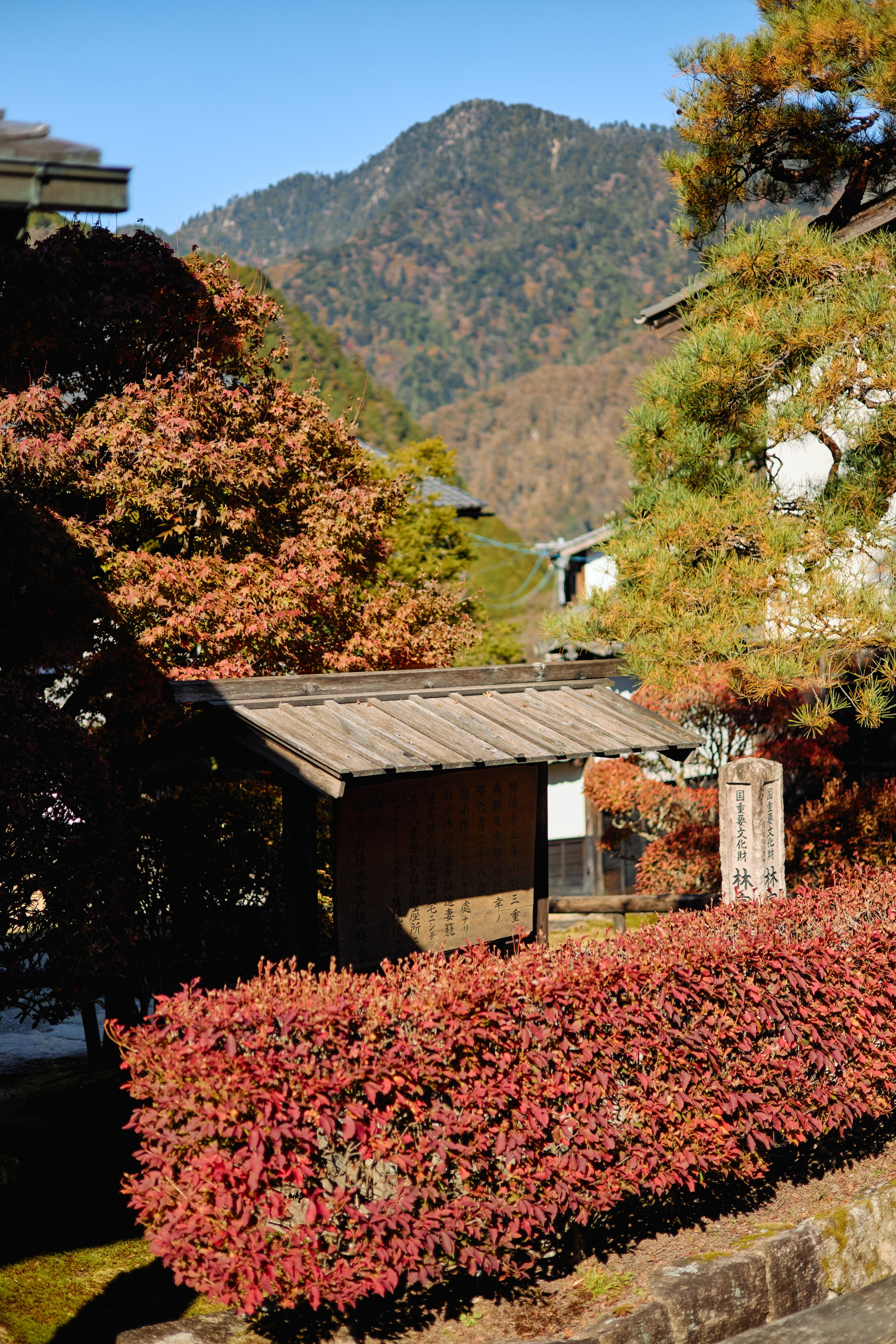 Япония. Профессиональный Фотограф во Владимире, в Москве и в Суздале — Полина Романычева