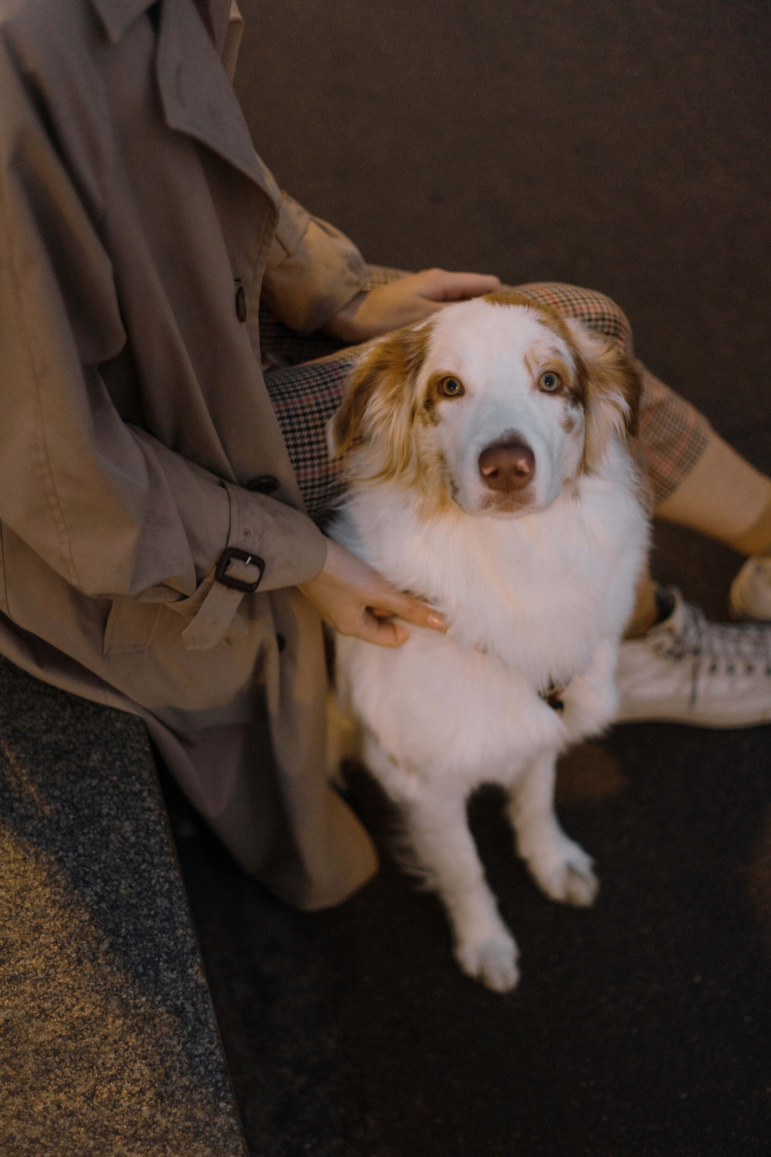 Светлана и Оливия. Фотограф-анималист Богданова Полина
