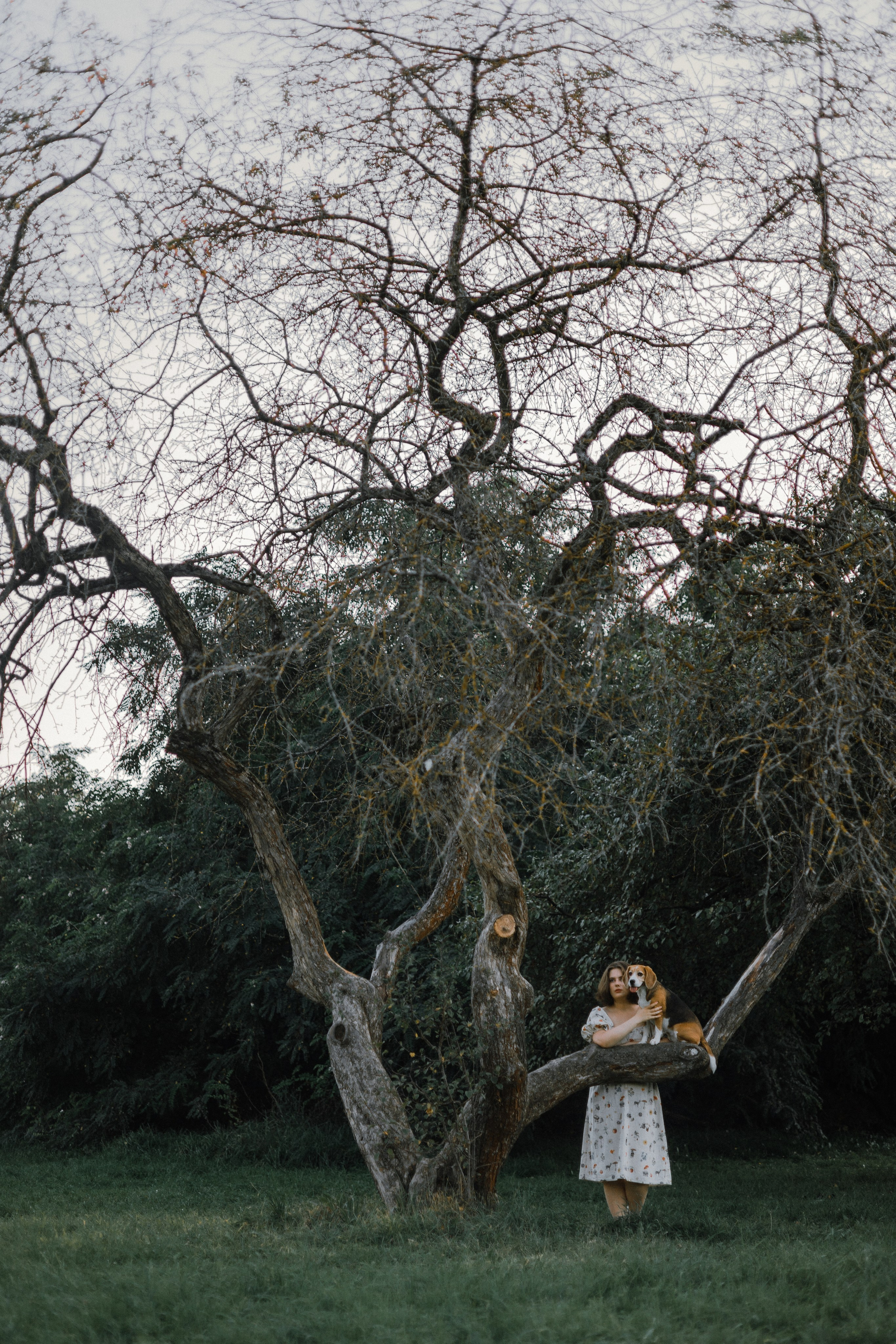 Лиза и Сара. Фотограф-анималист Богданова Полина