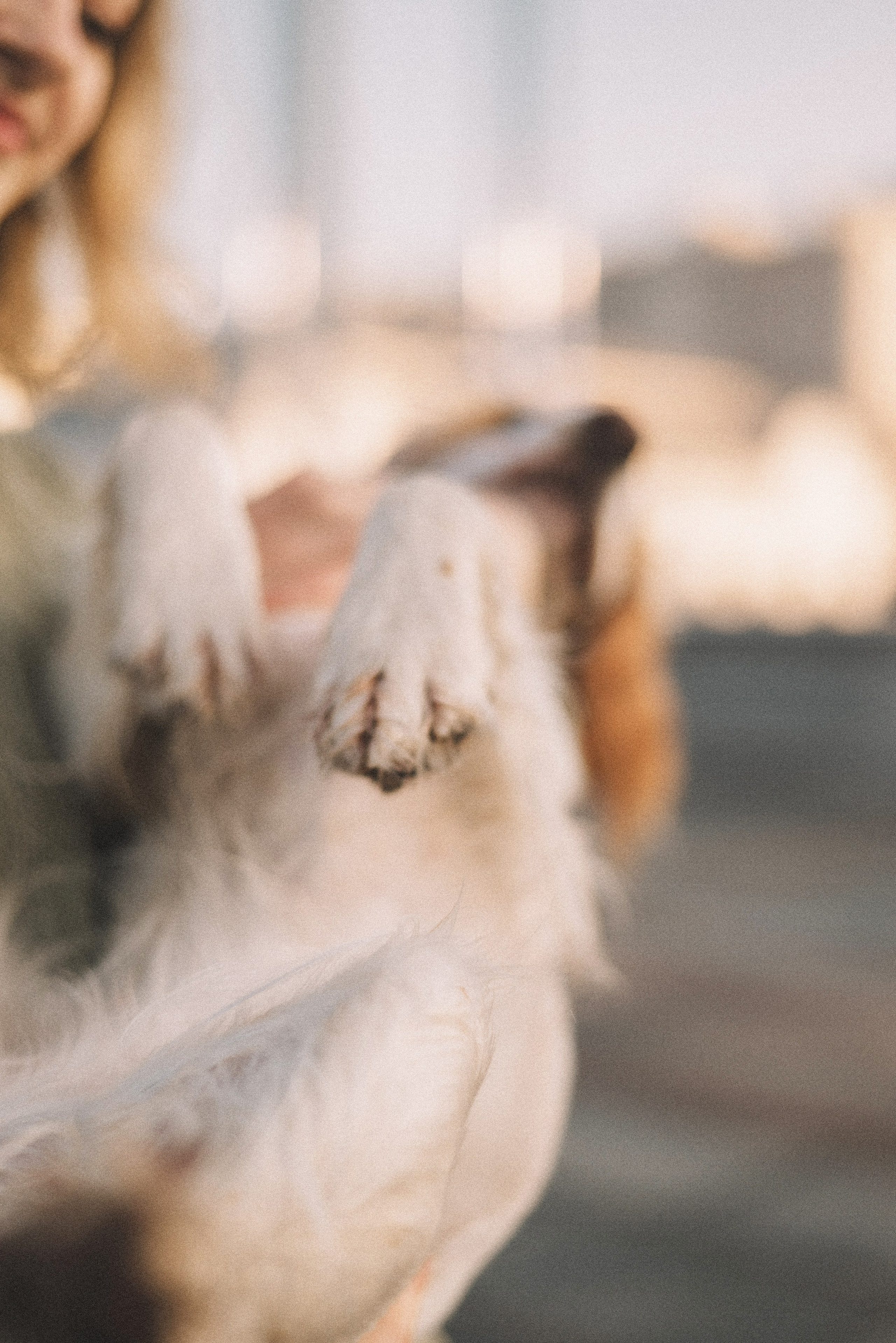 Маша и Вега. Фотограф-анималист Богданова Полина