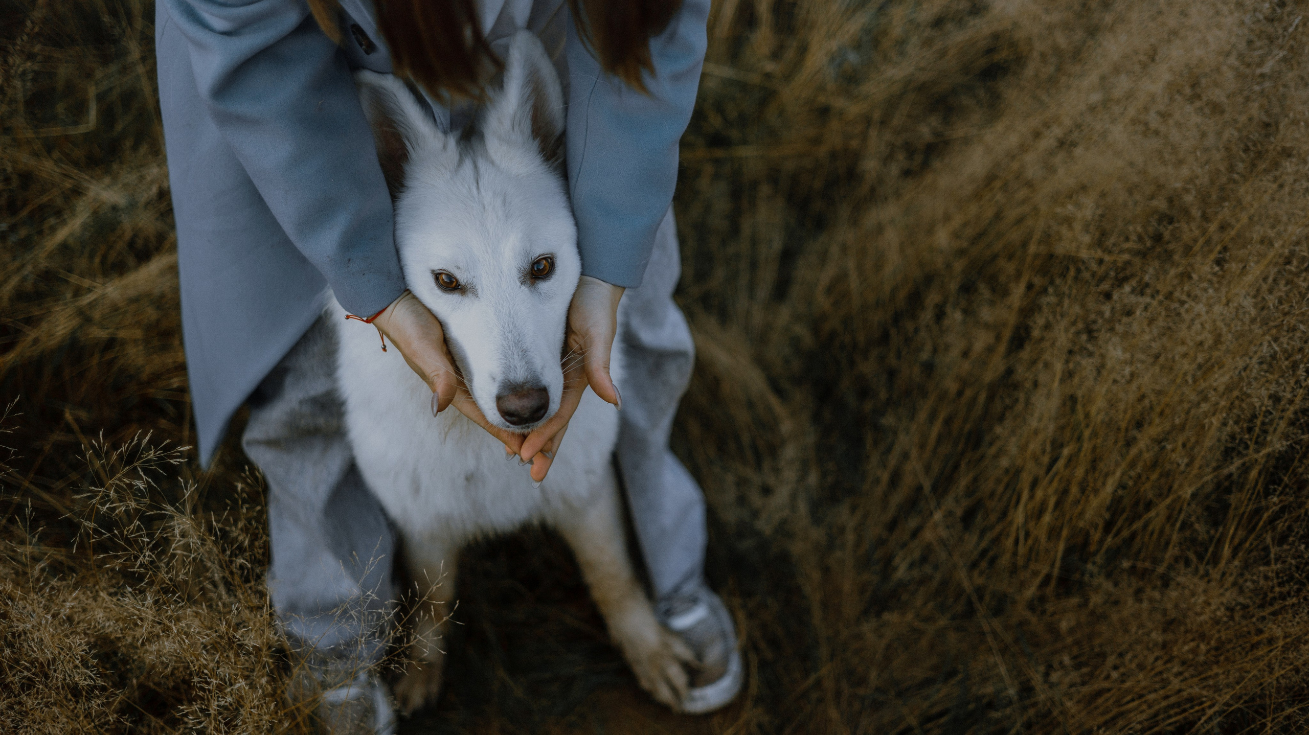 Вика и Уля. Фотограф-анималист Богданова Полина