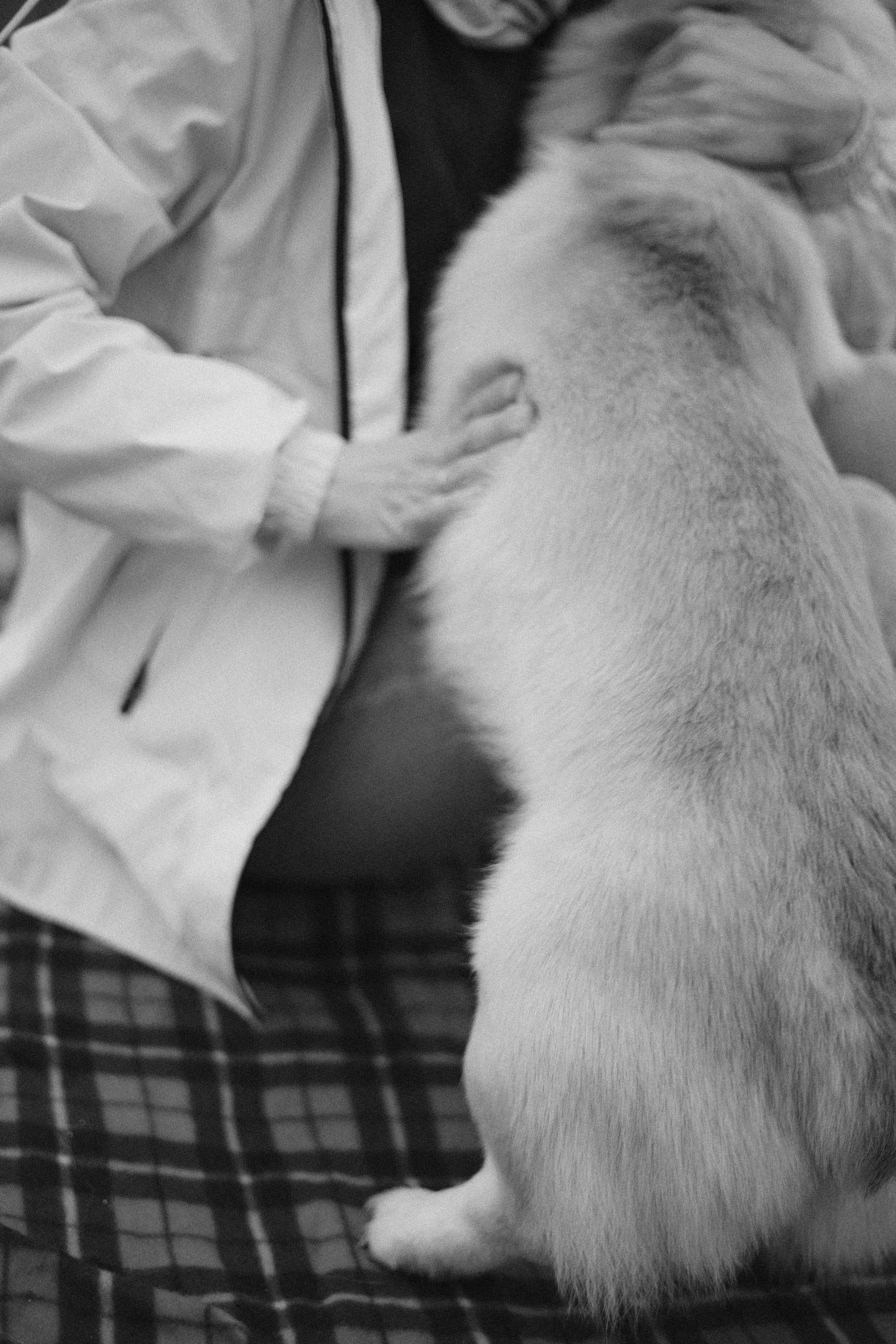 Юля и барри. Фотограф-анималист Богданова Полина