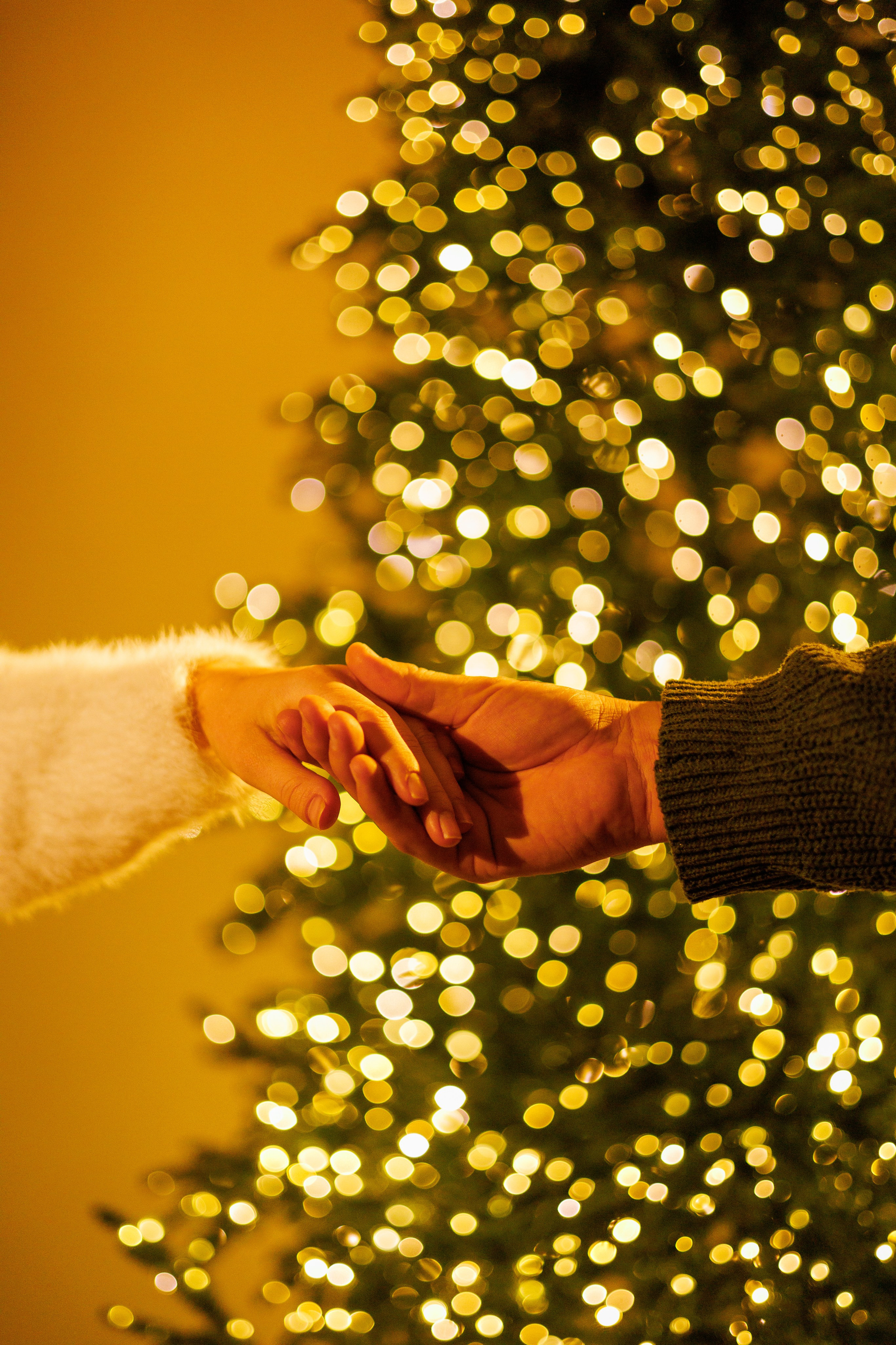 NewYear'25. Фотограф из Краснодара Мария Приходько