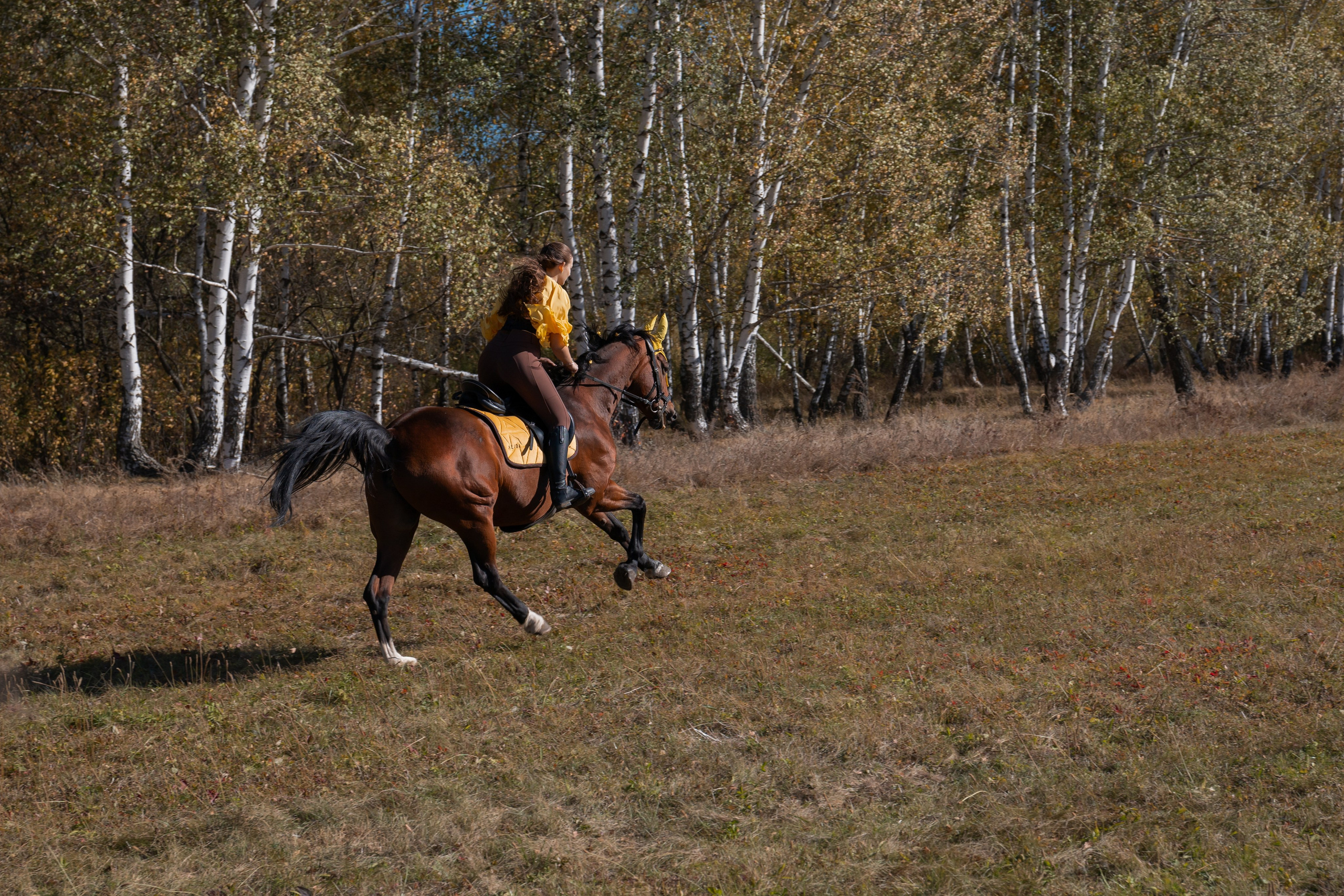 Фотосессия с лошадьми