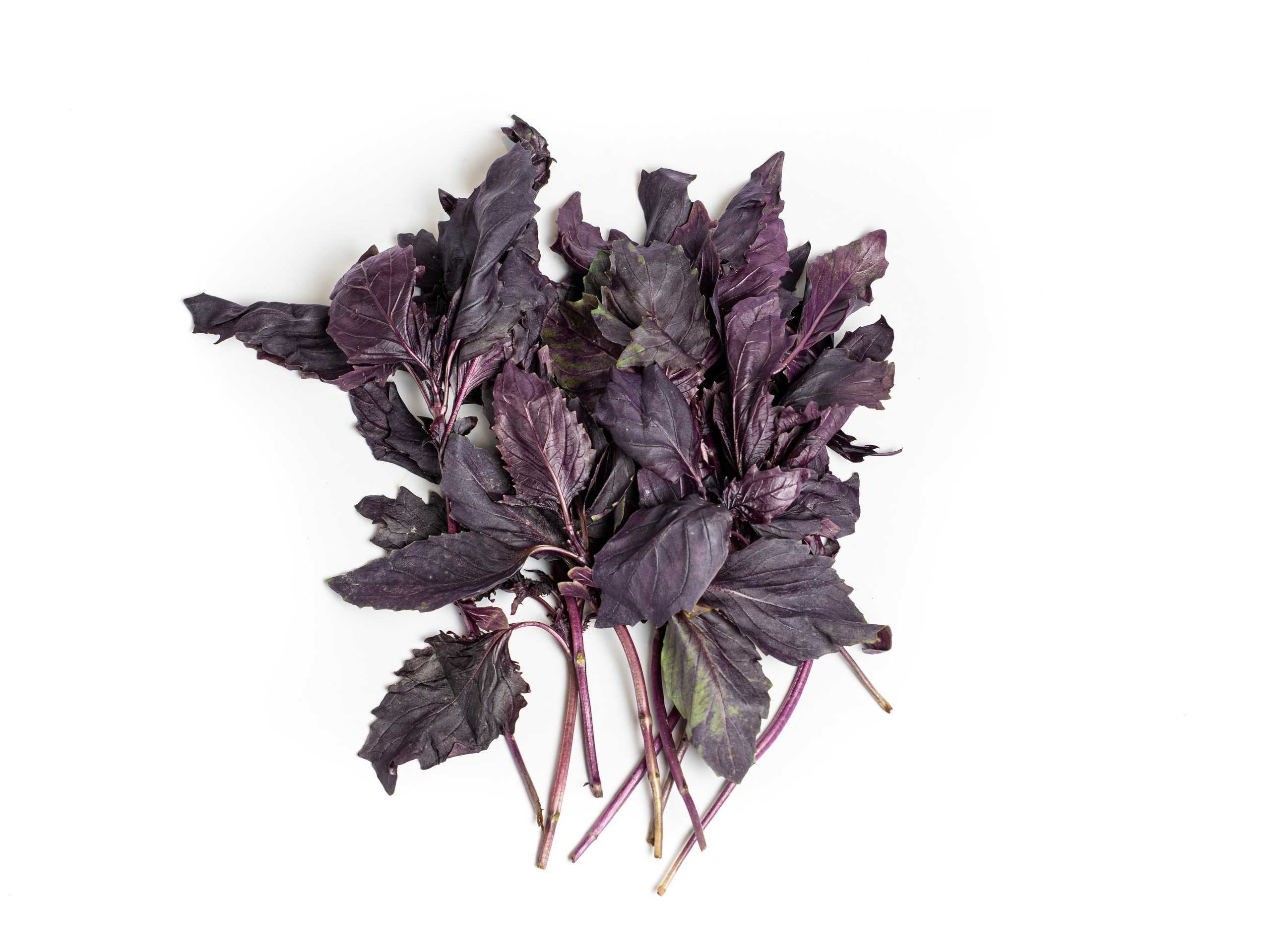 Яндекс Маркет. Предметный и фуд-фотограф в Москве Анна Царенко