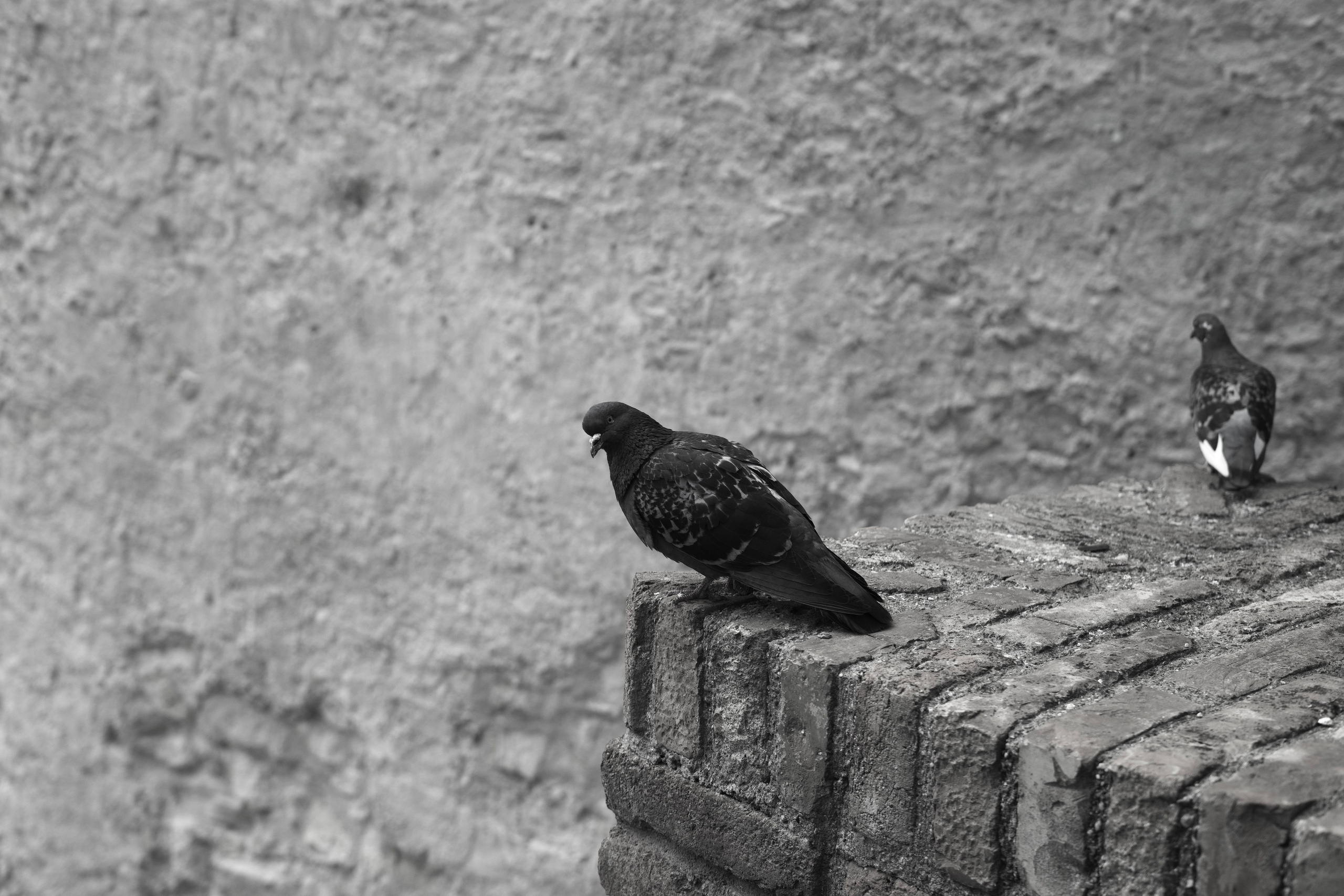 Print it. Visual art from artist Anna Butyrskaia for families and individuals