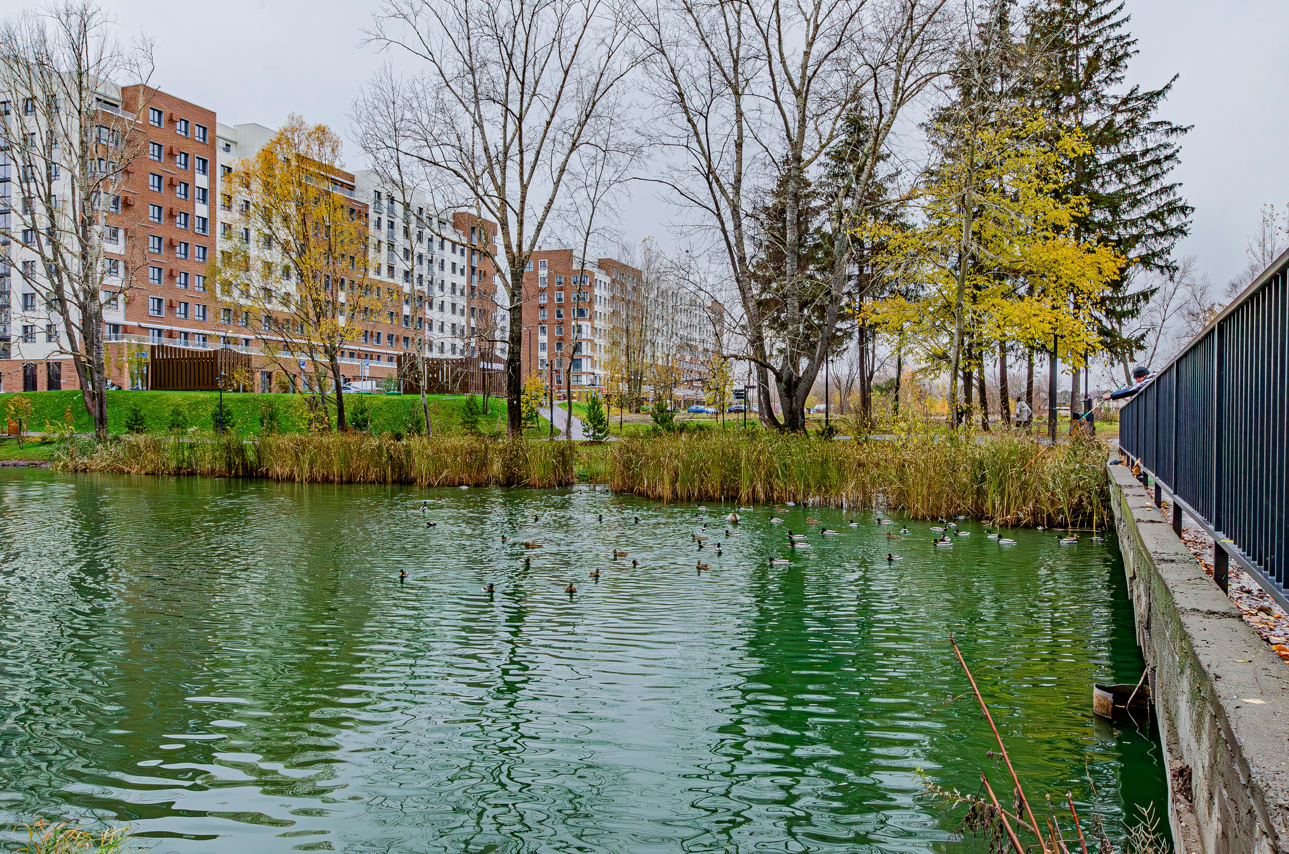 Ярдем 3. Nataliphotokzn.ru Фотограф. Казань. Интерьерная съёмка