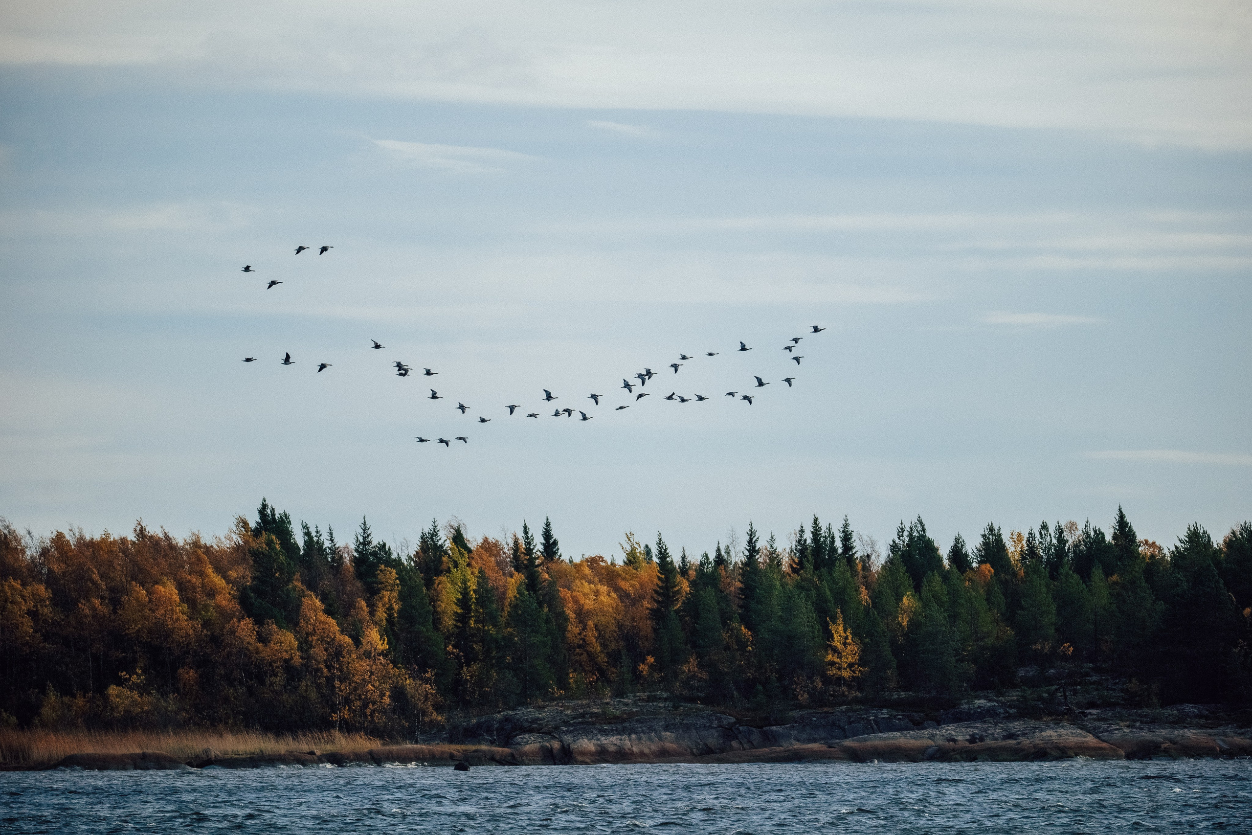 КАРЕЛИЯ / ОСЕНЬ. Создание контента | Фото | Видеосъемка | Александр Ярков