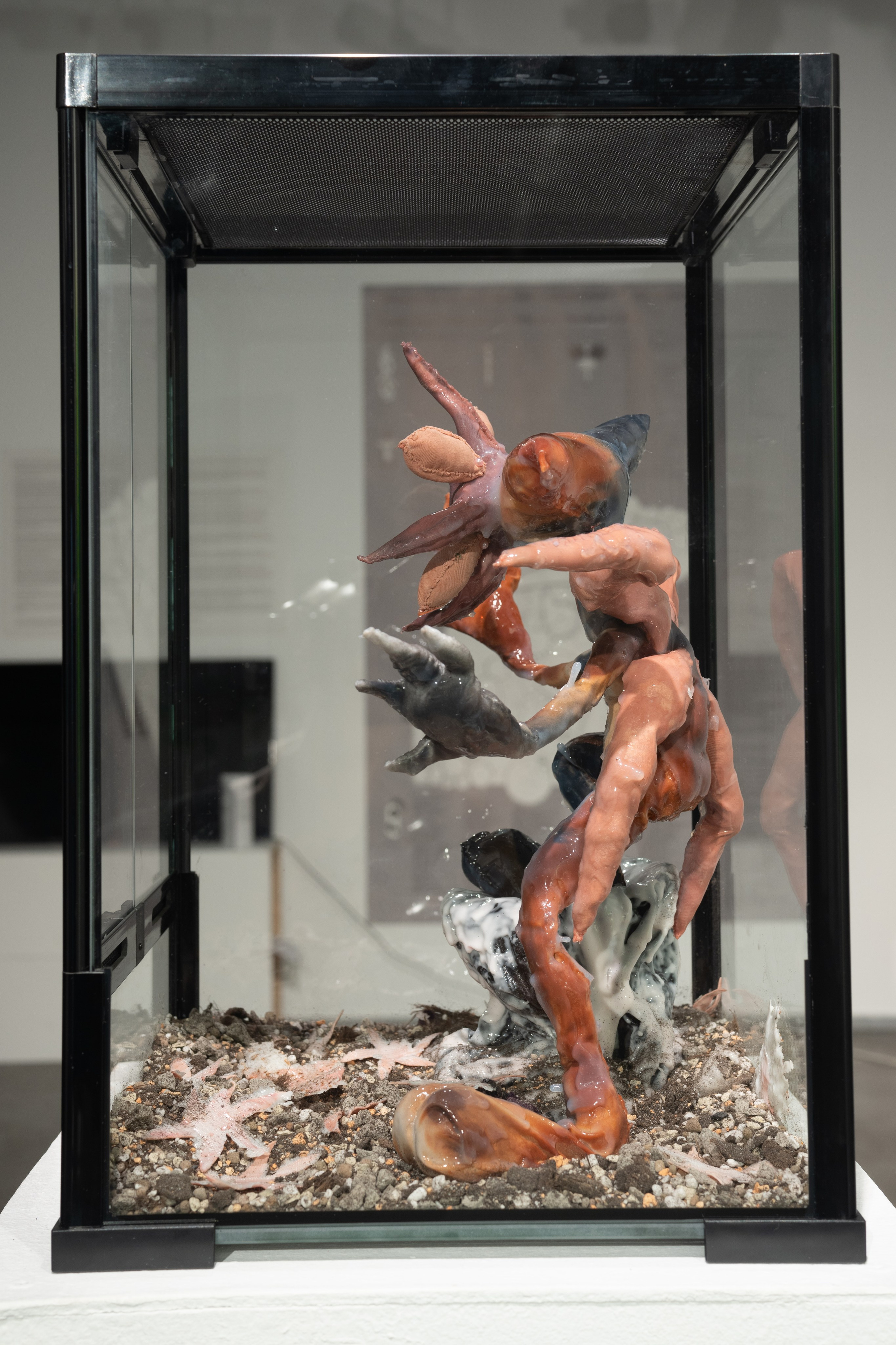 ''Little Cryptid'', 2025. Ksenia Markelova, multidisciplinary artist, Yekaterinburg