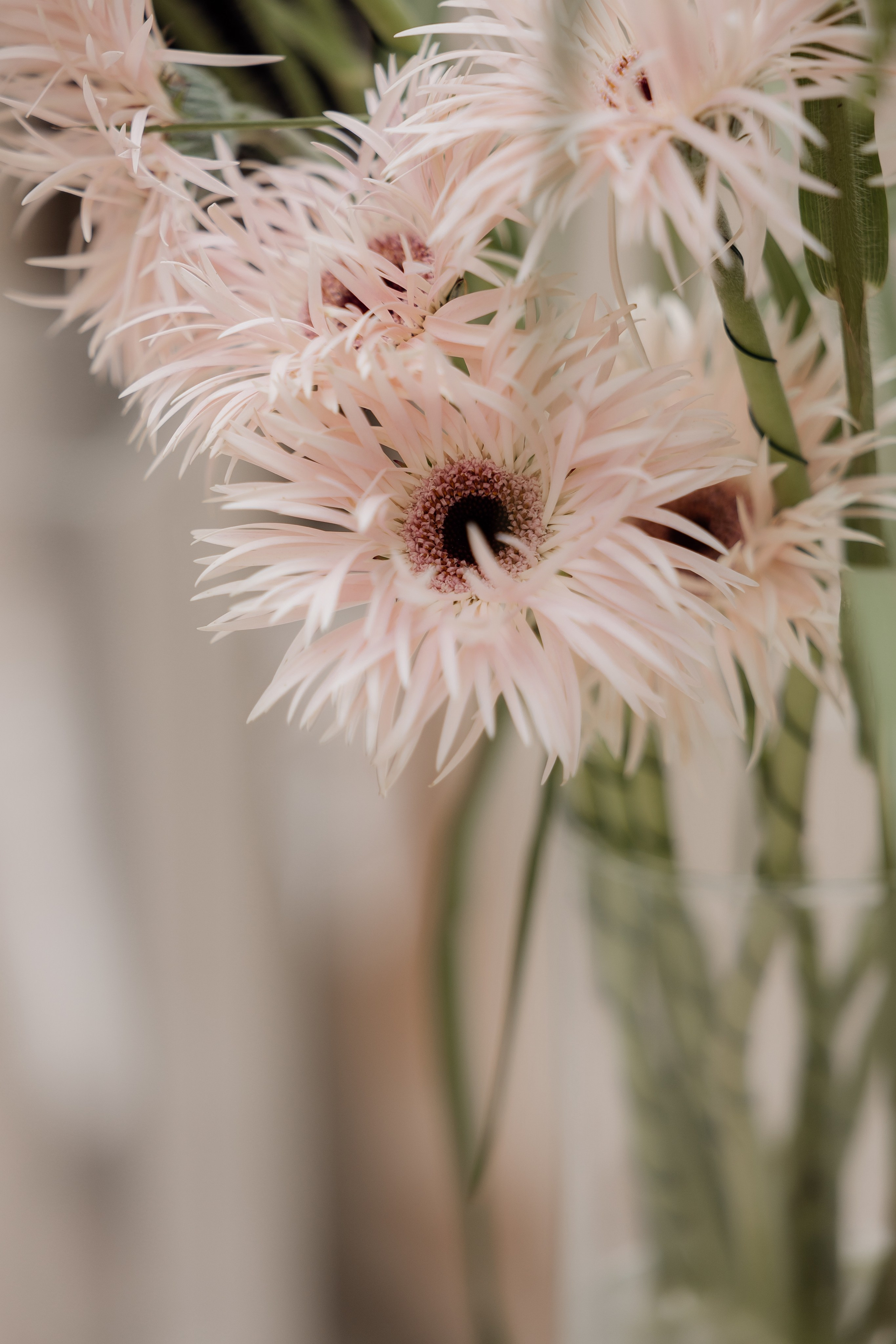 Максим|Элеонора. Фотограф в Казани Гузель Зайнуллина