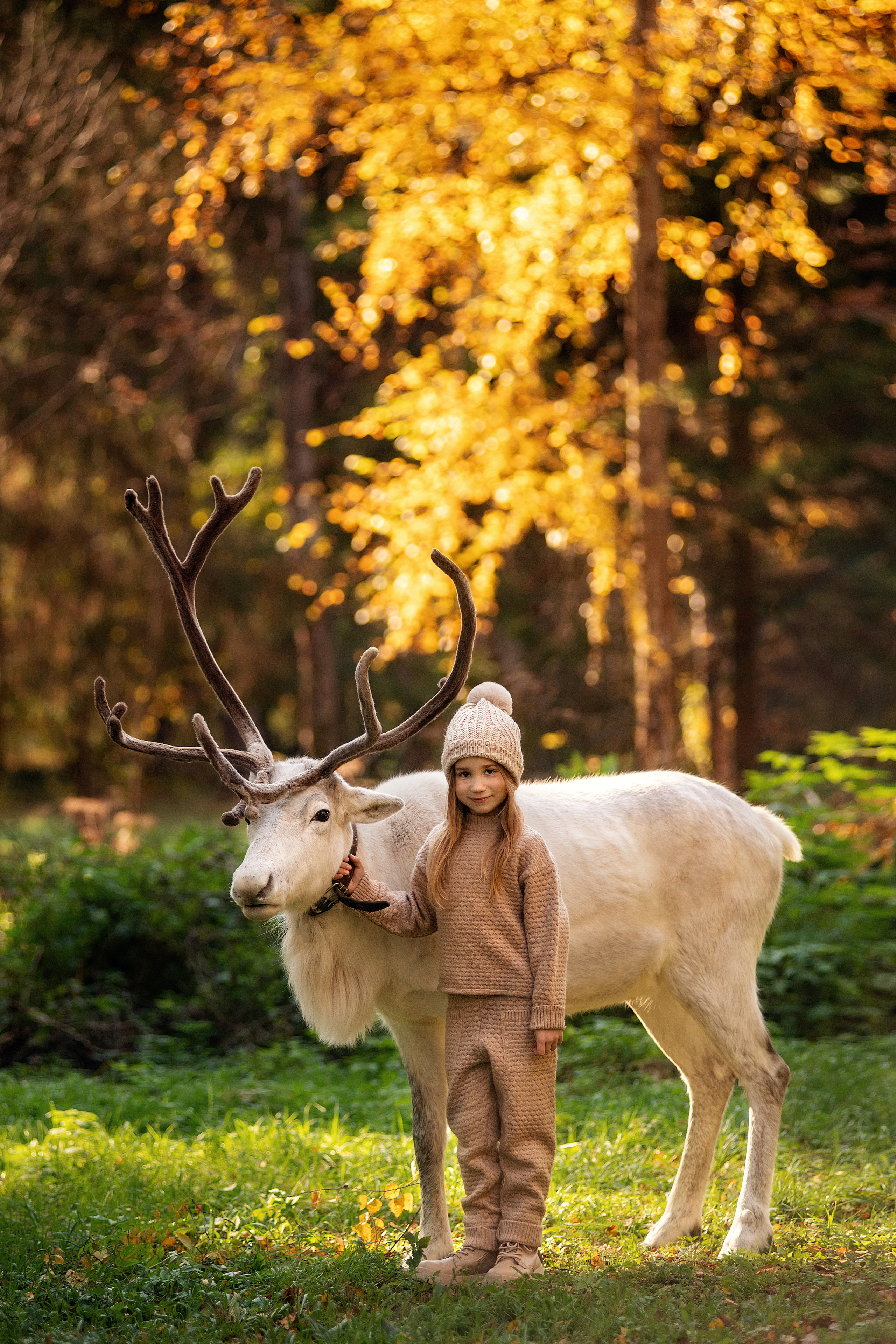Фотосессия с животными. Семьи, дети, сады, школы. Фотограф Первенцева Елена. Москва