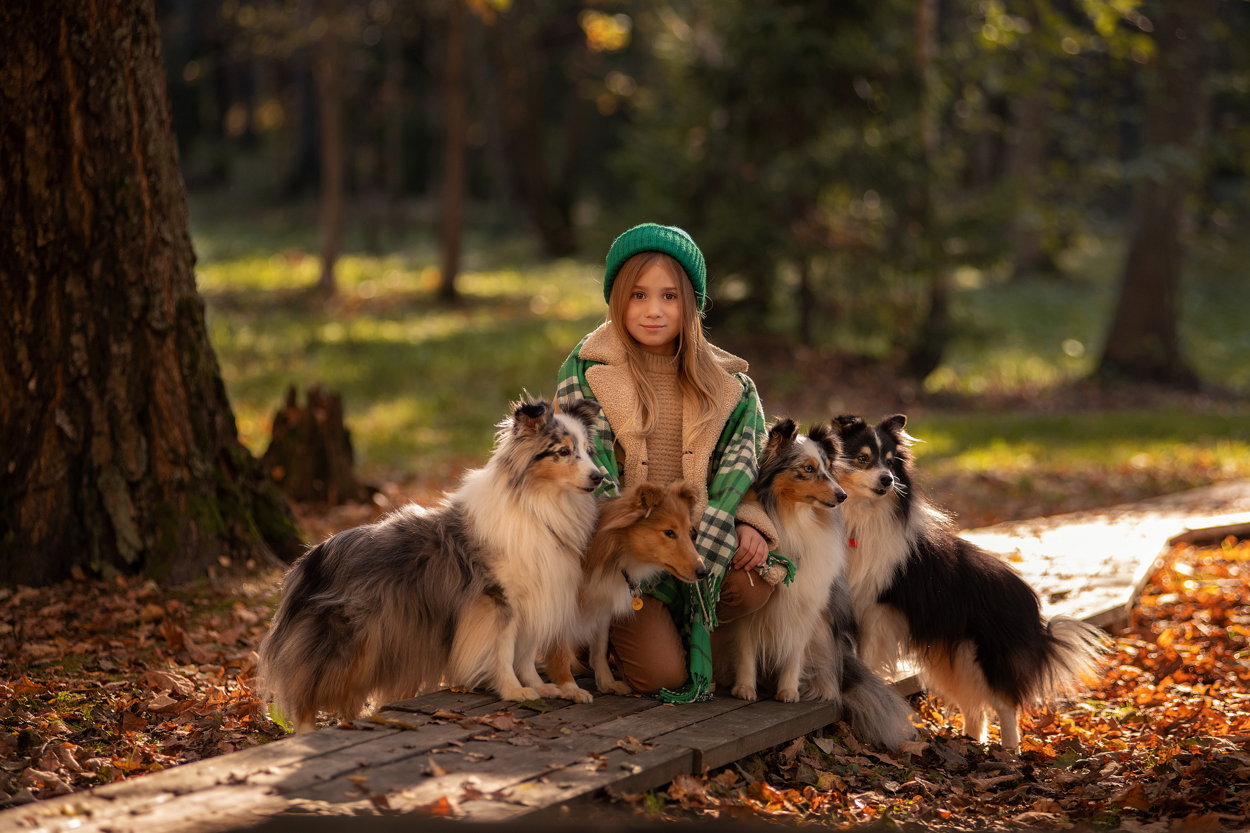Фотосессия с животными. Семьи, дети, сады, школы. Фотограф Первенцева Елена. Москва