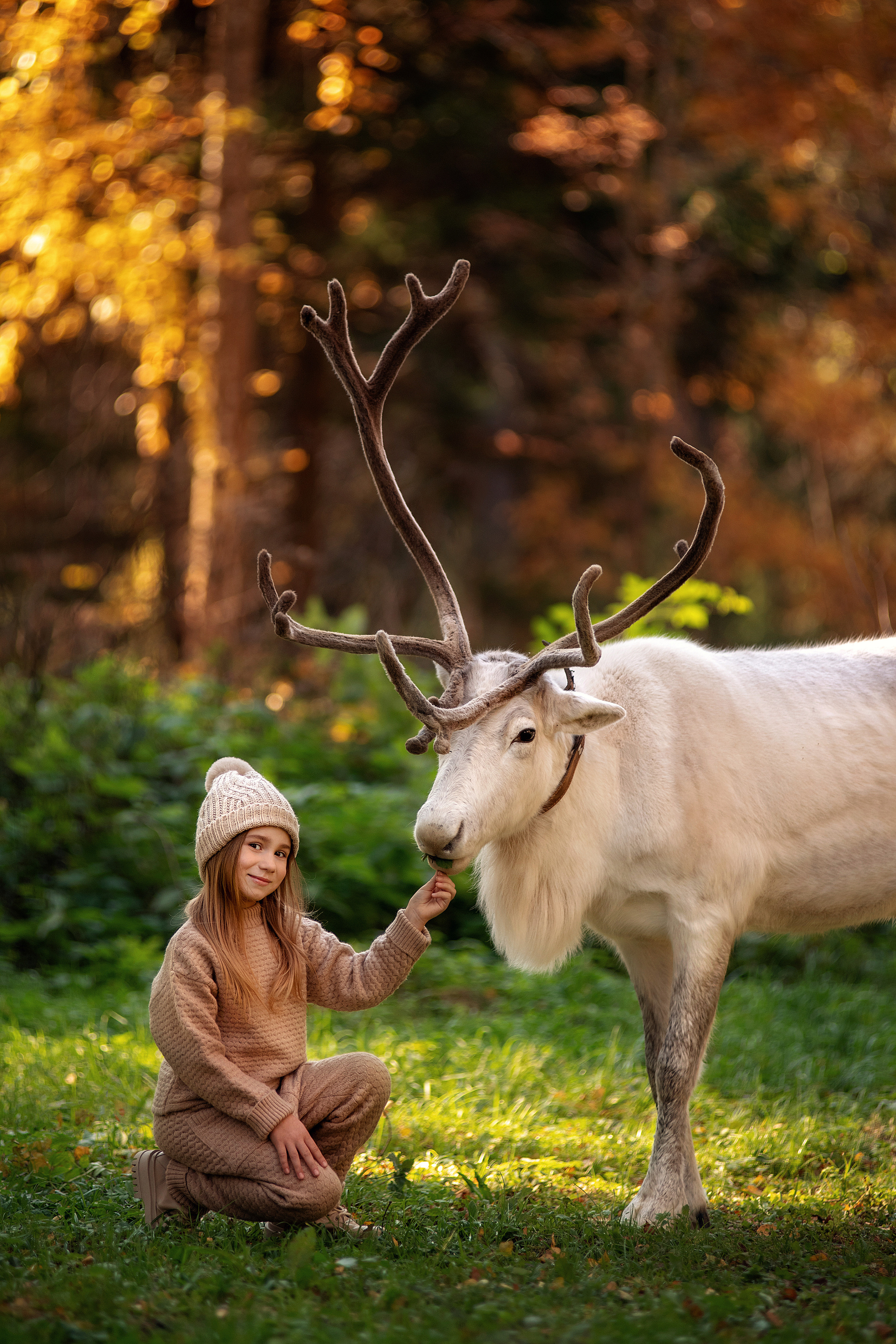 Фотосессия с животными. Семьи, дети, сады, школы. Фотограф Первенцева Елена. Москва