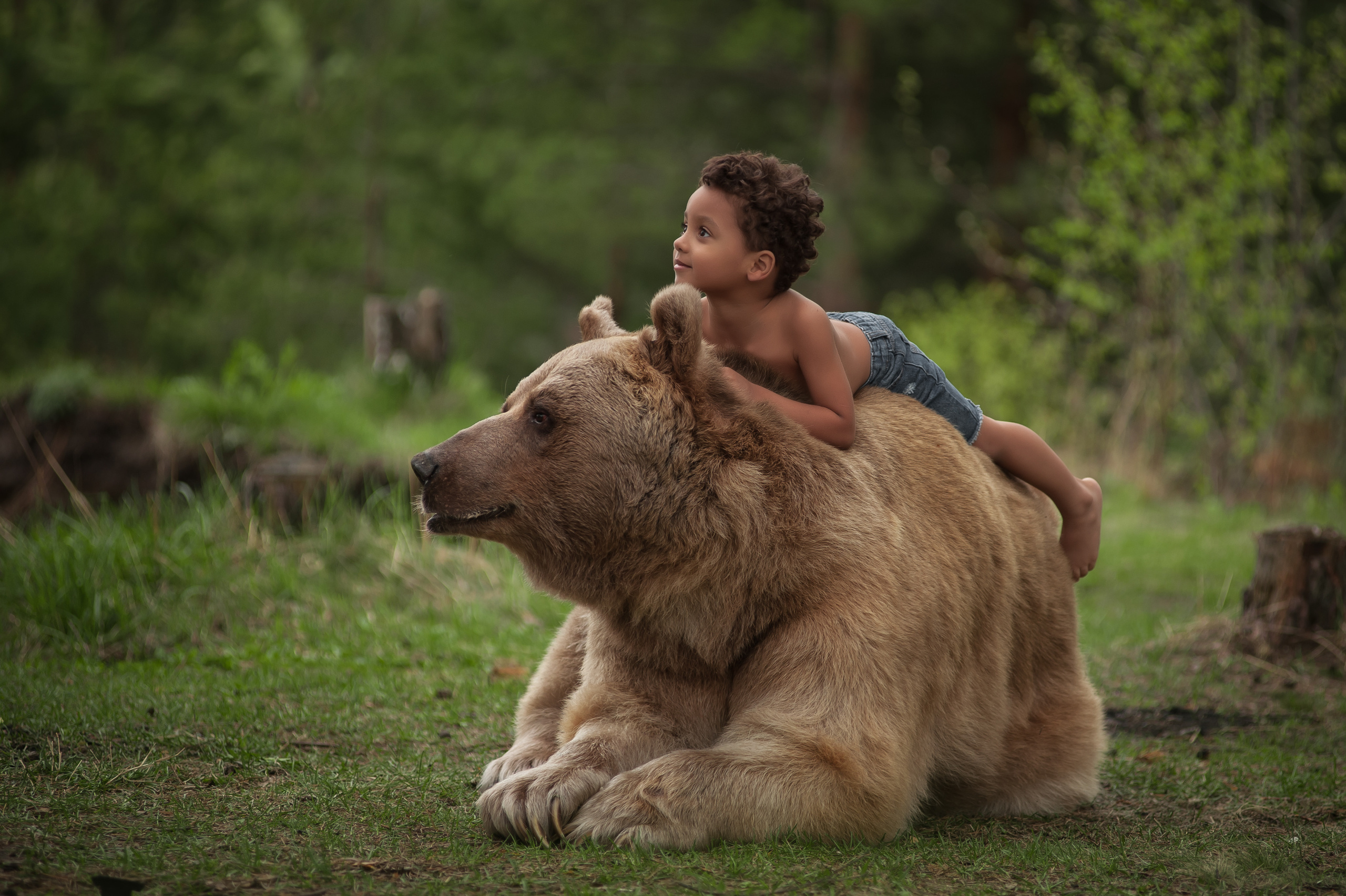 Фотосессия с животными. Семьи, дети, сады, школы. Фотограф Первенцева Елена. Москва