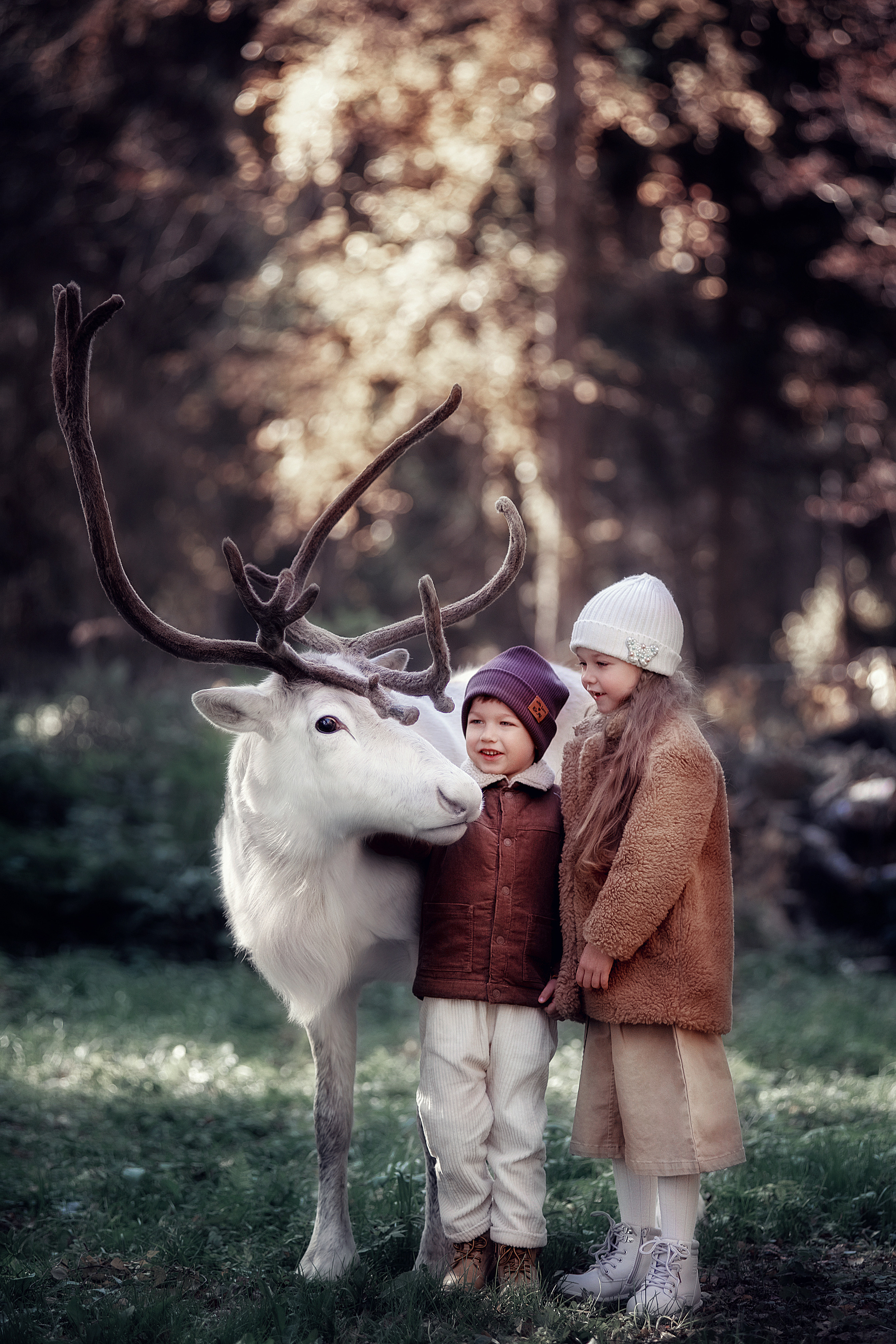 Фотосессия с животными. Семьи, дети, сады, школы. Фотограф Первенцева Елена. Москва