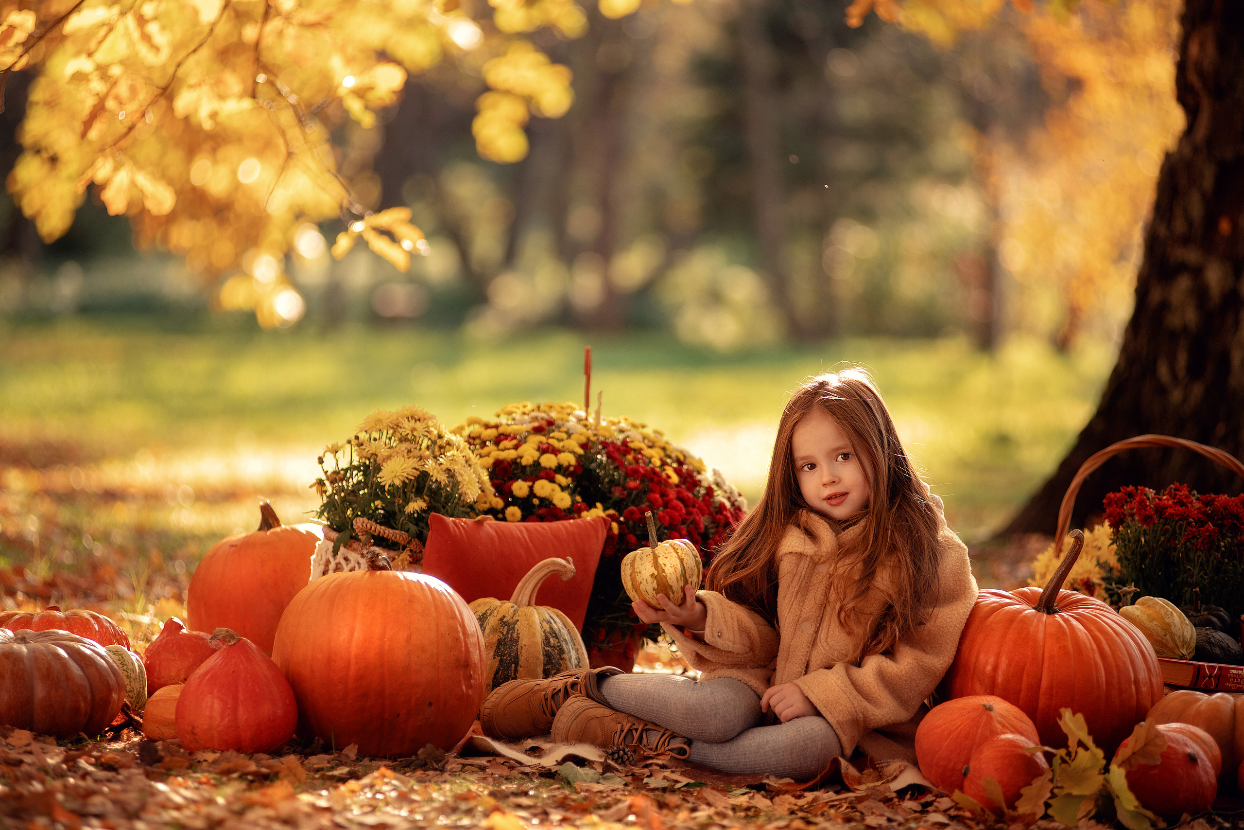 Семейная и детская фотосессия. Семьи, дети, сады, школы. Фотограф Первенцева Елена. Москва