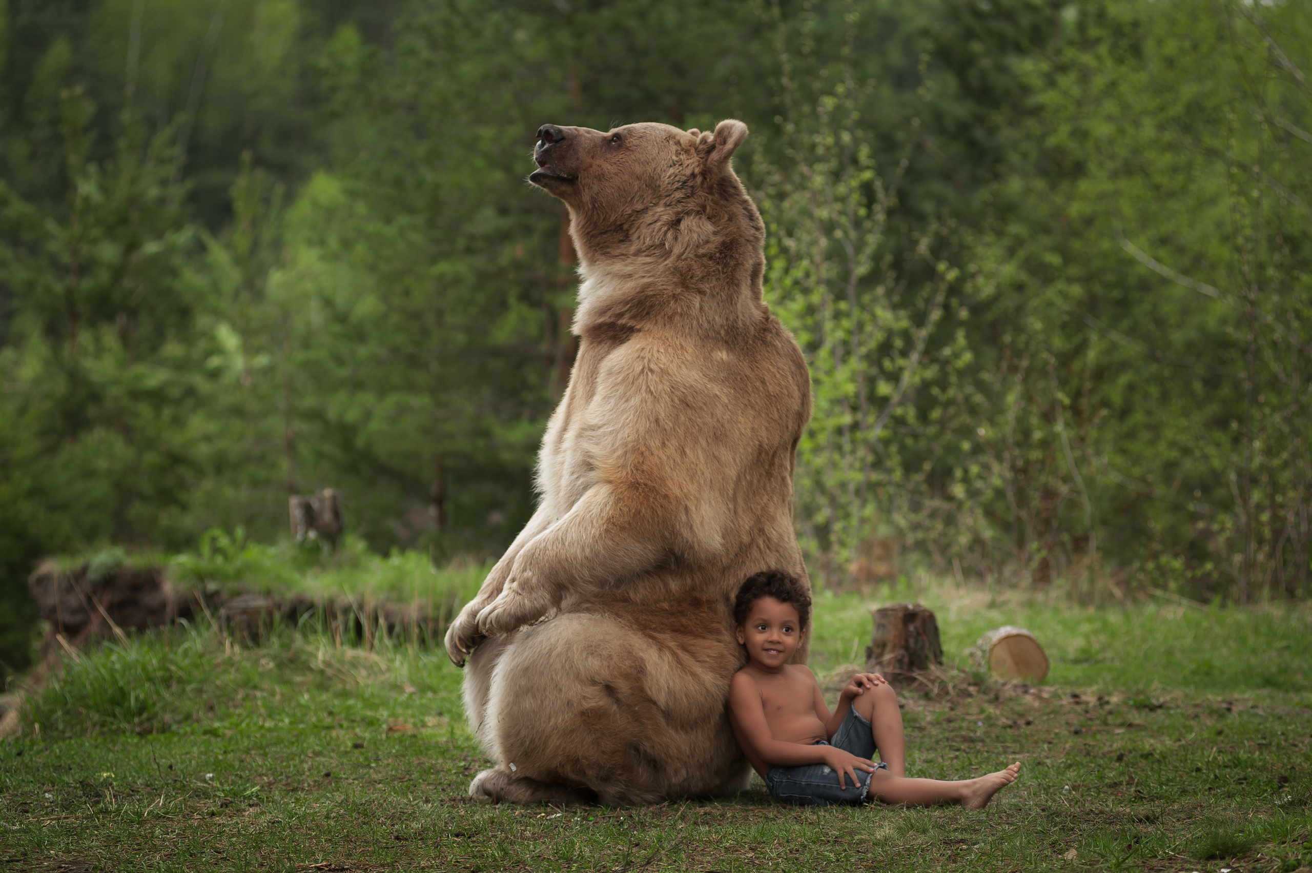 Фотосессия с животными. Семьи, дети, сады, школы. Фотограф Первенцева Елена. Москва