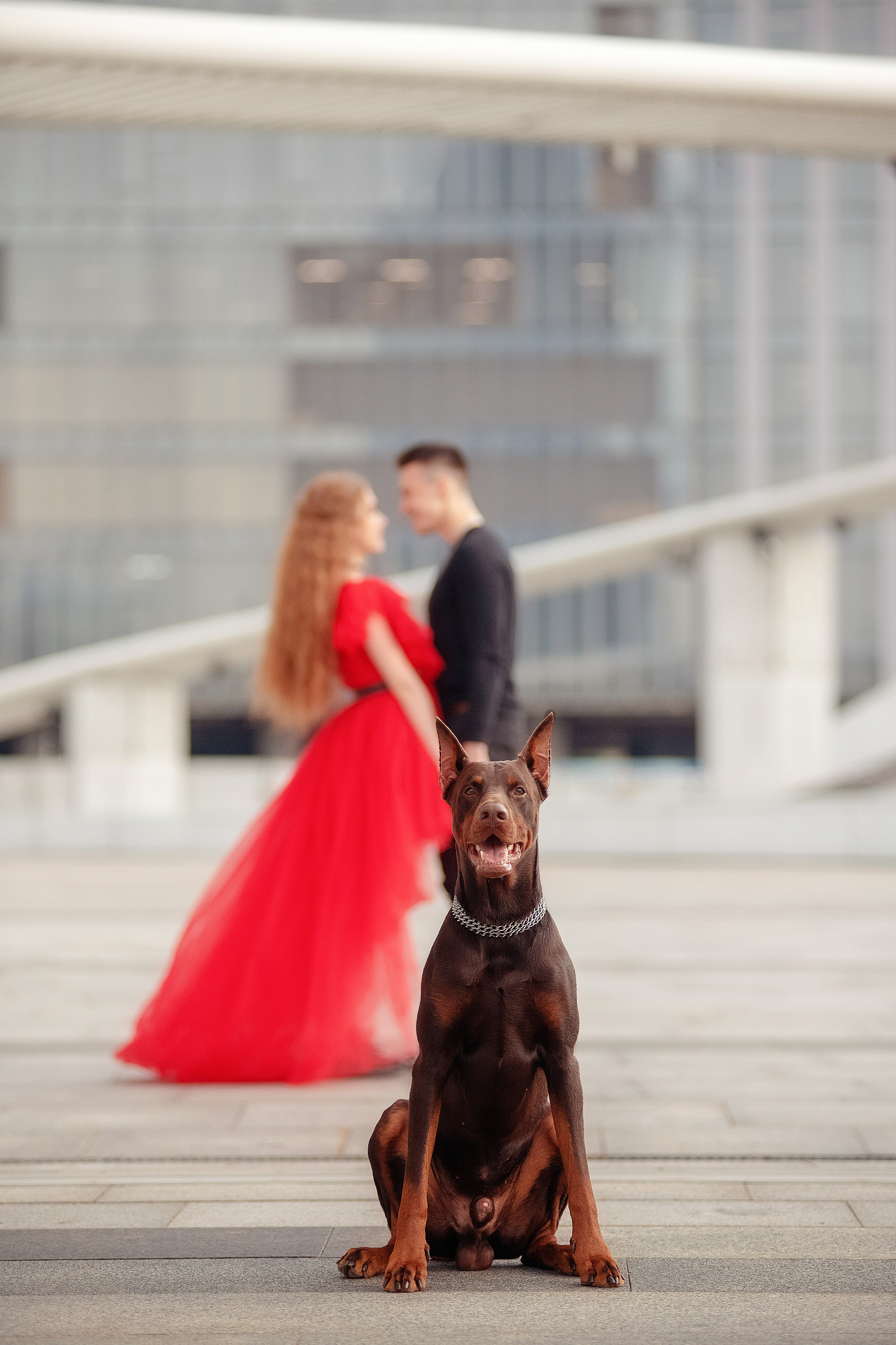 Фотосессия с животными. Семьи, дети, сады, школы. Фотограф Первенцева Елена. Москва