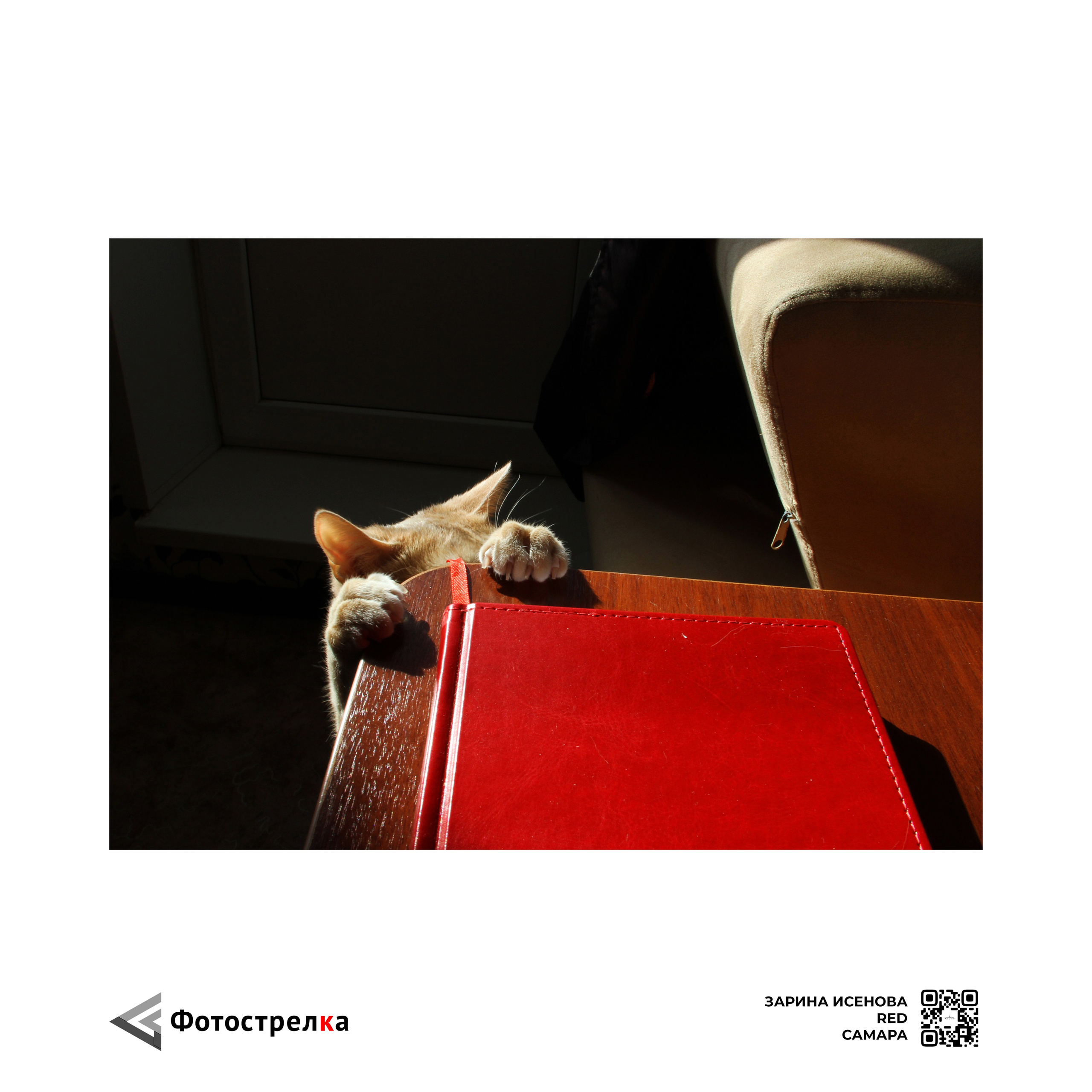 «Красная» коллекция в паспарту. Фотострелка