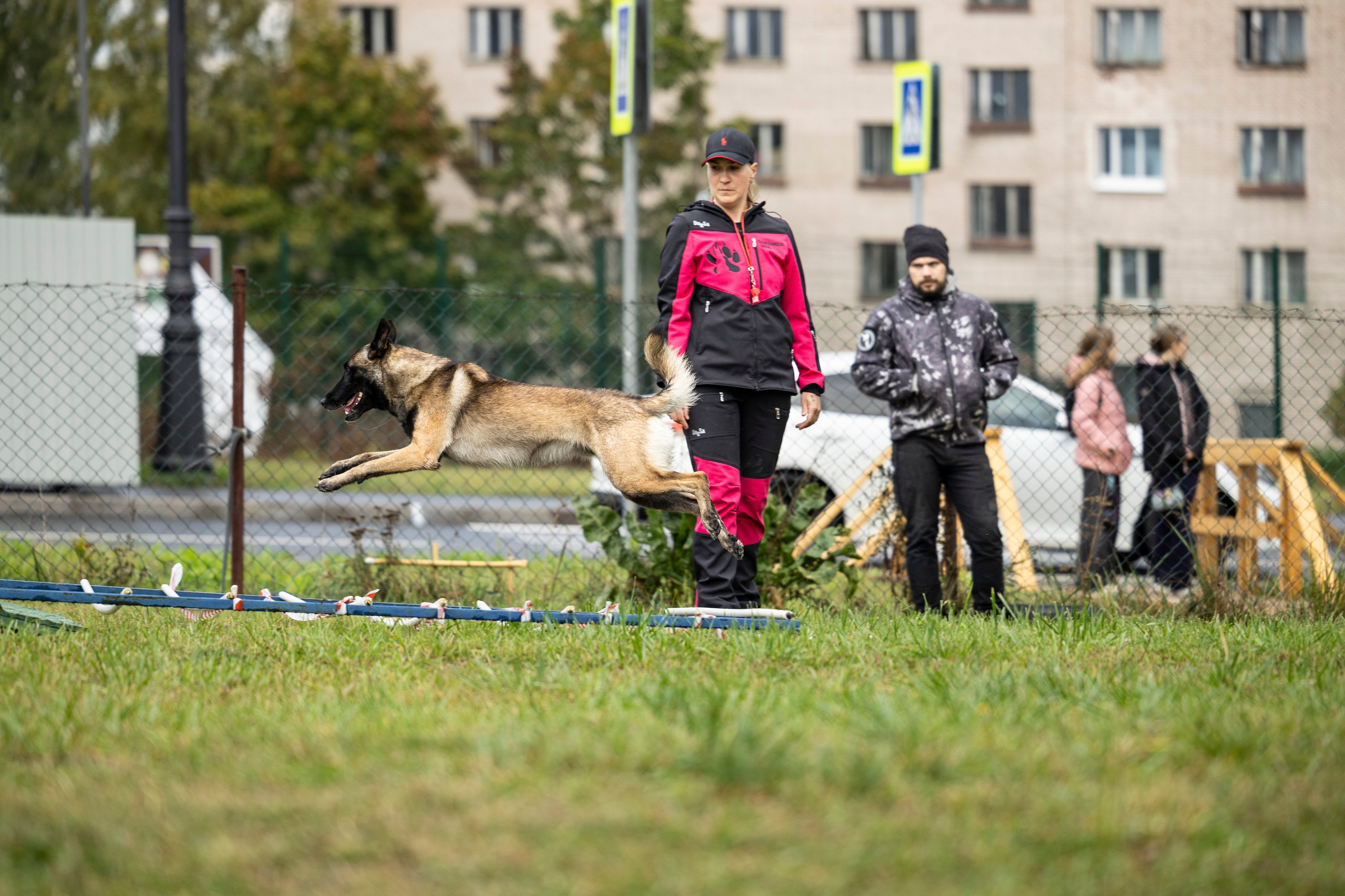 Испытания по Мондьорингу г. Пушкин. Фотограф-анималист Анна Маринич