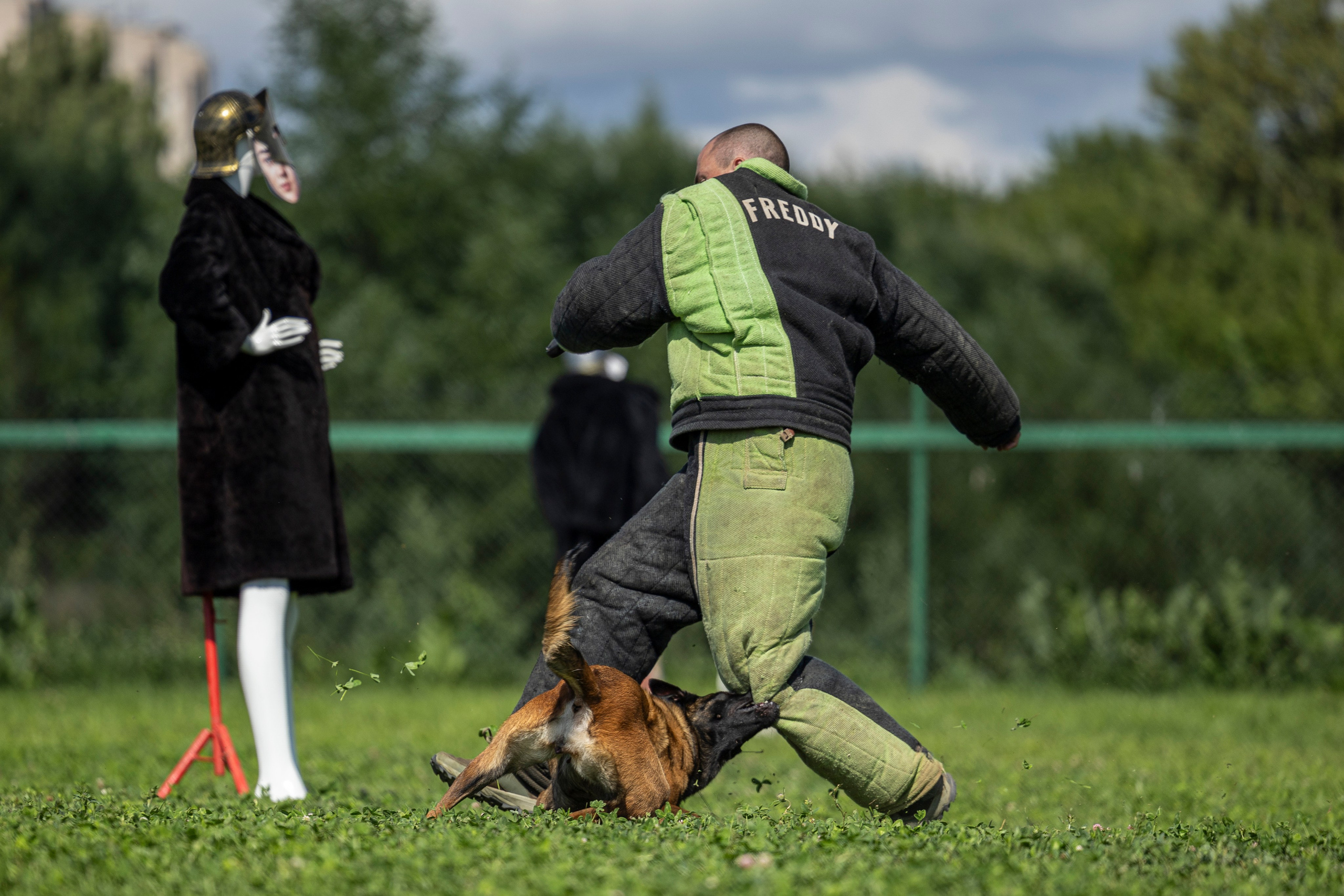 Соревнования по Мондьорингу г. Вологда 10-11.08.2024. Фотограф-анималист Анна Маринич