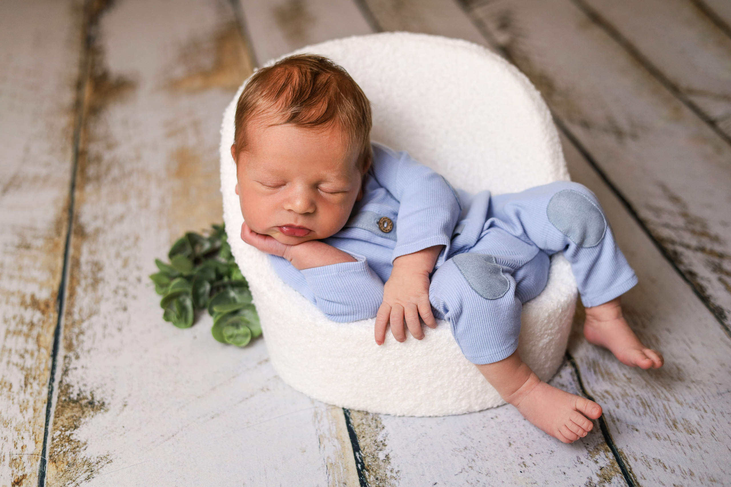 Новорожденные. Фотограф новорожденных Новосибирск
