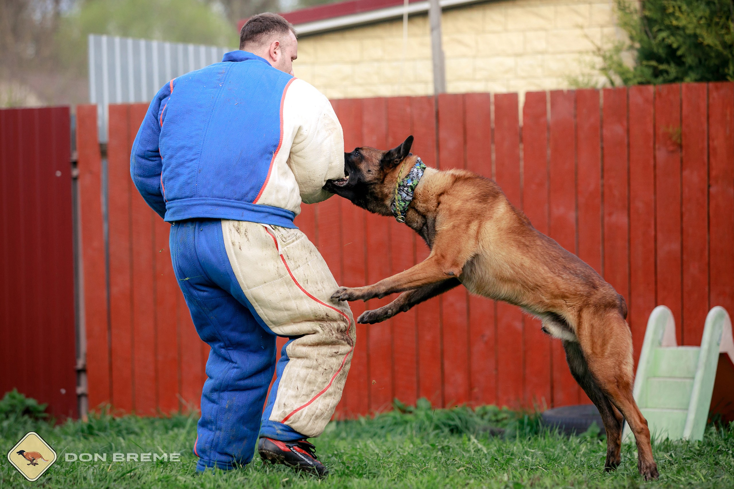 Семинар для фигурантов, день 2. Фотограф-анималист Mary Mart — Москва, Питер