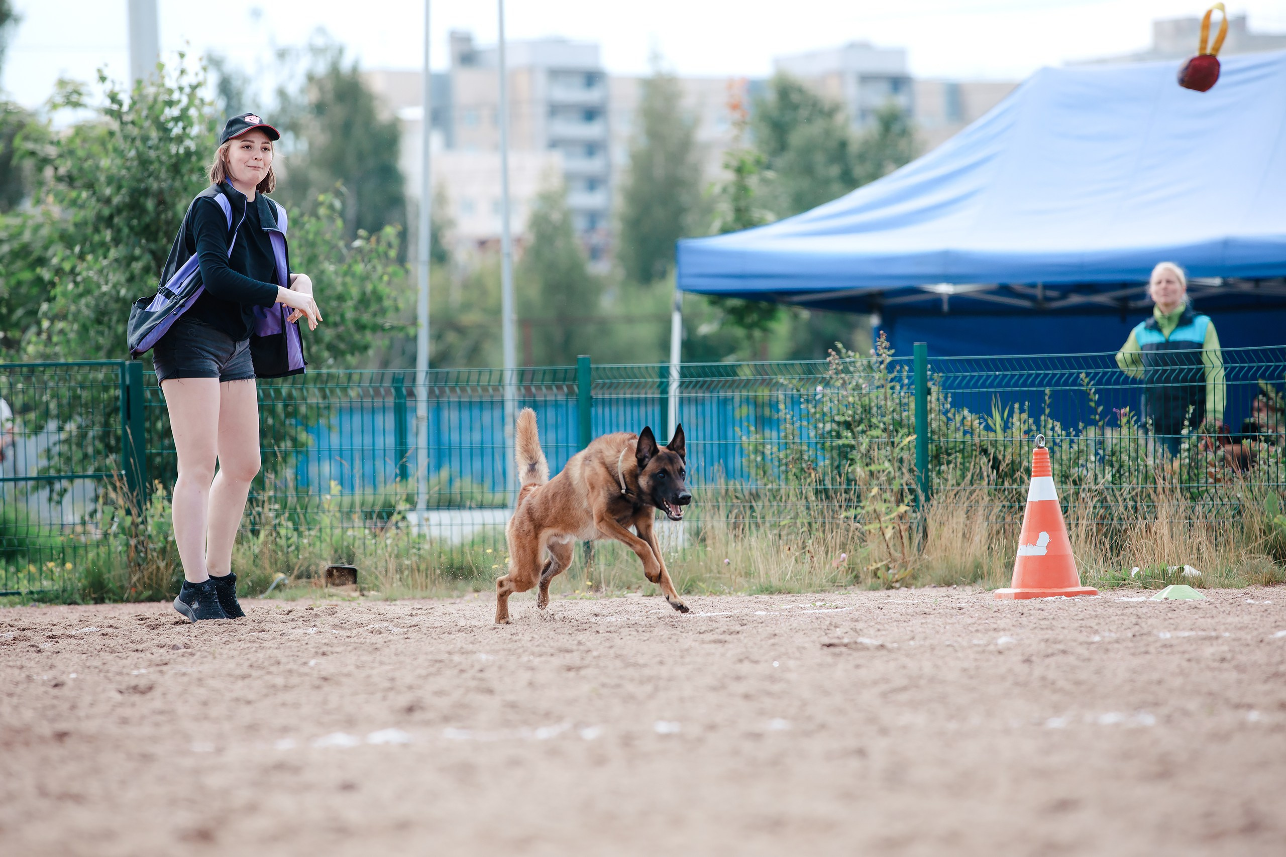 Питч&Гоу + веселые старты. Фотограф-анималист Mary Mart — Москва, Питер