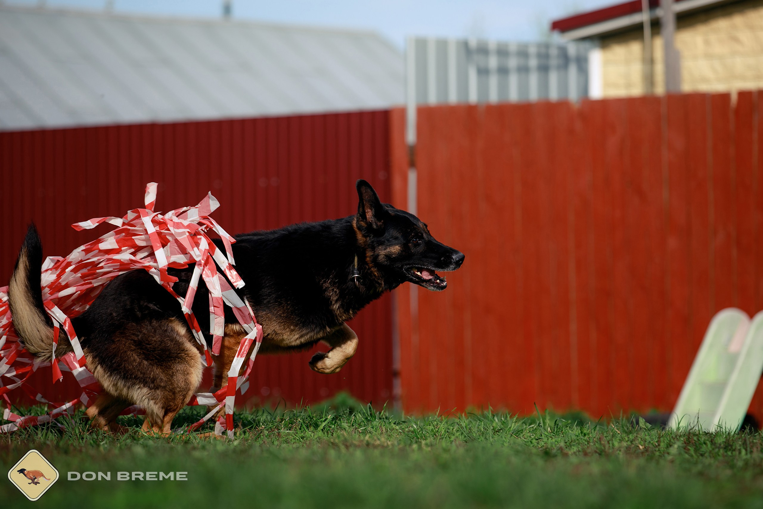 Семинар для фигурантов, день 2. Фотограф-анималист Mary Mart — Москва, Питер