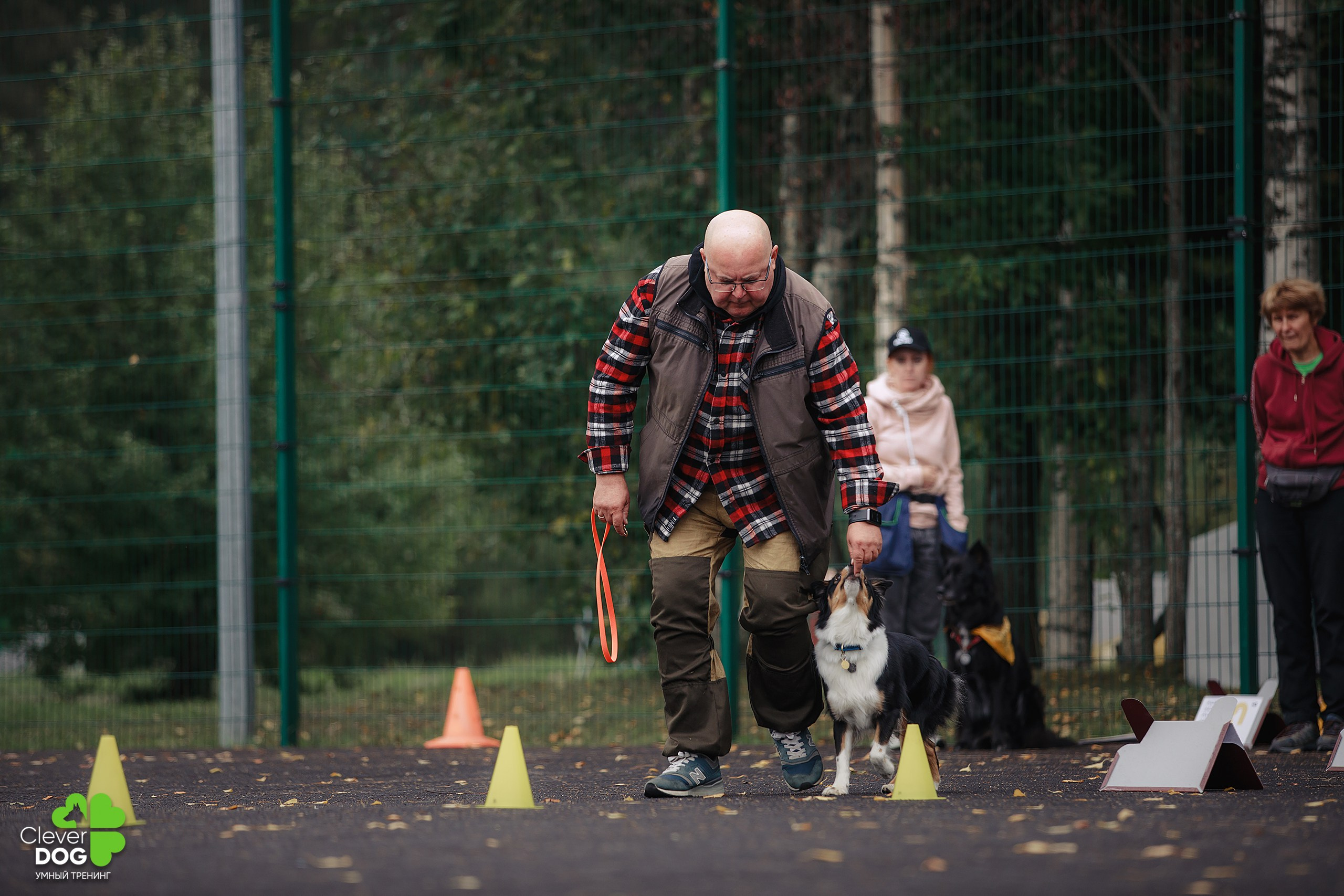 Кинологический лагерь CleverDog, 2024. Фотограф-анималист Mary Mart — Москва, Питер