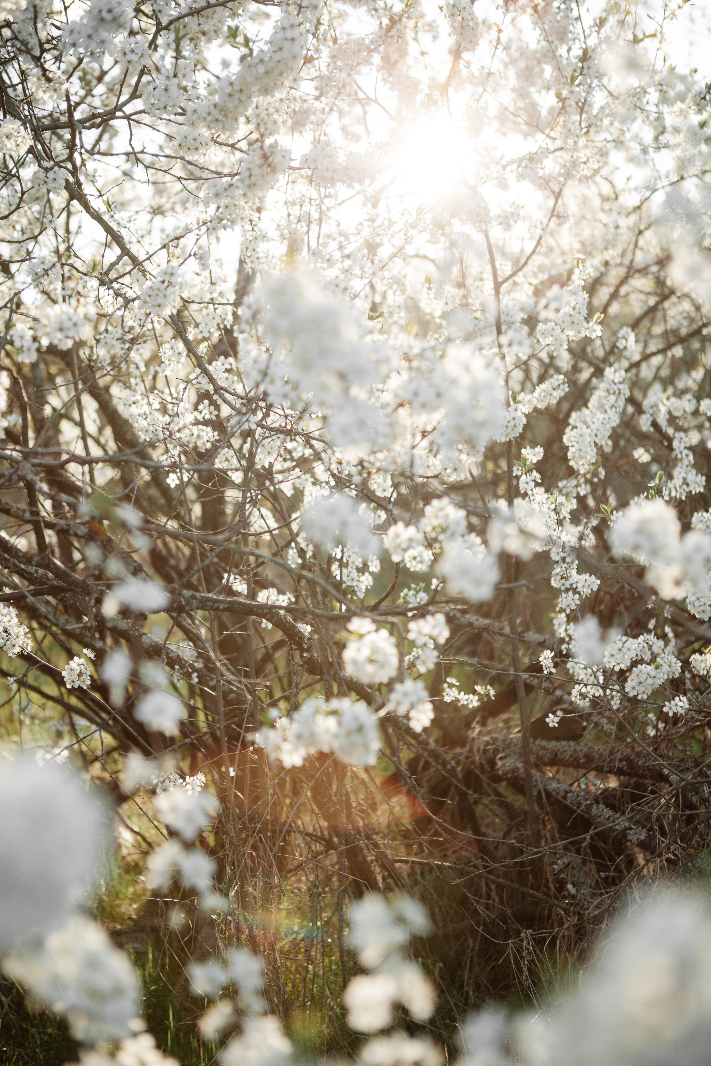 Дмитрий и Марина. Фотограф в Нижнем Новгороде Таня Галкина